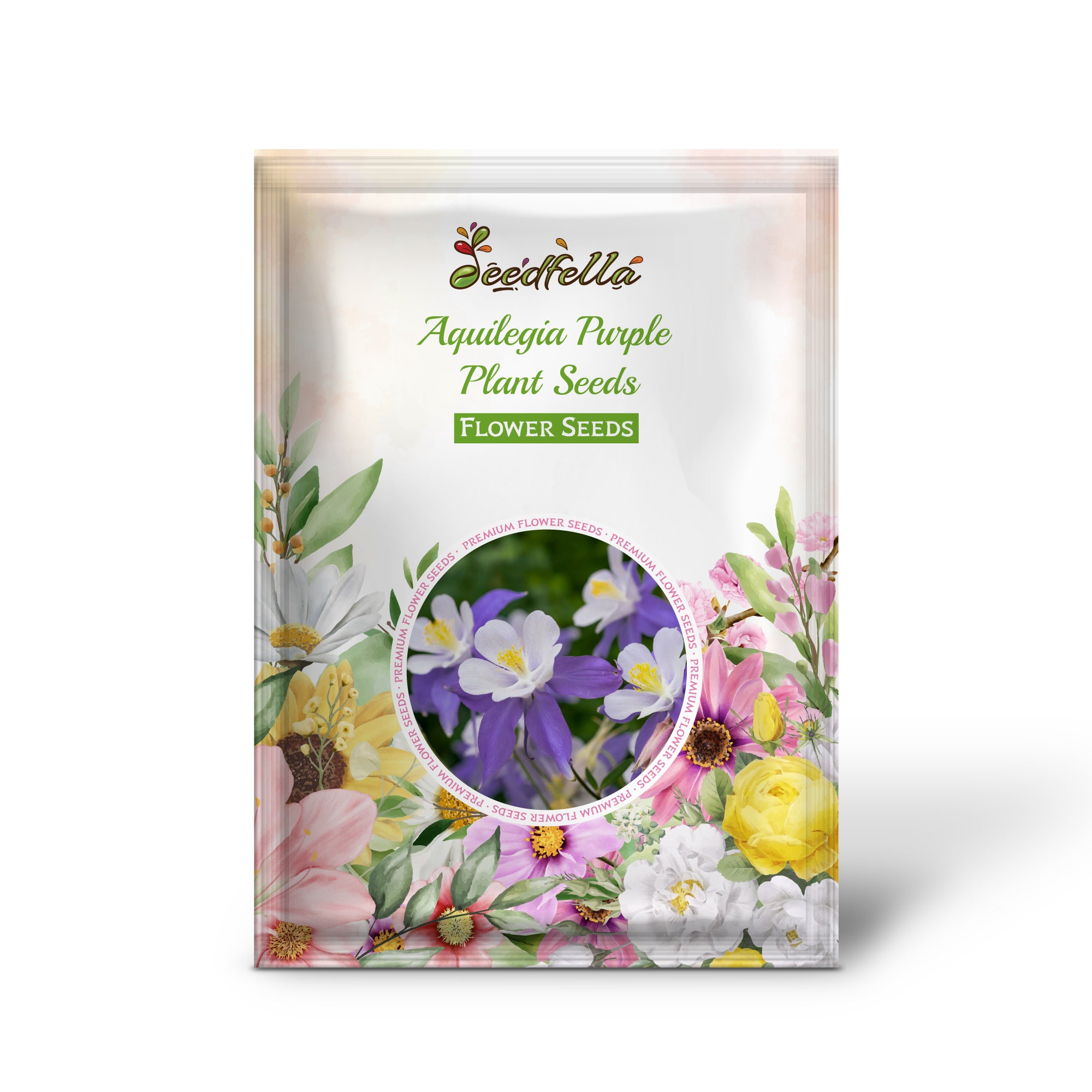 Purple Columbine flowers in full bloom