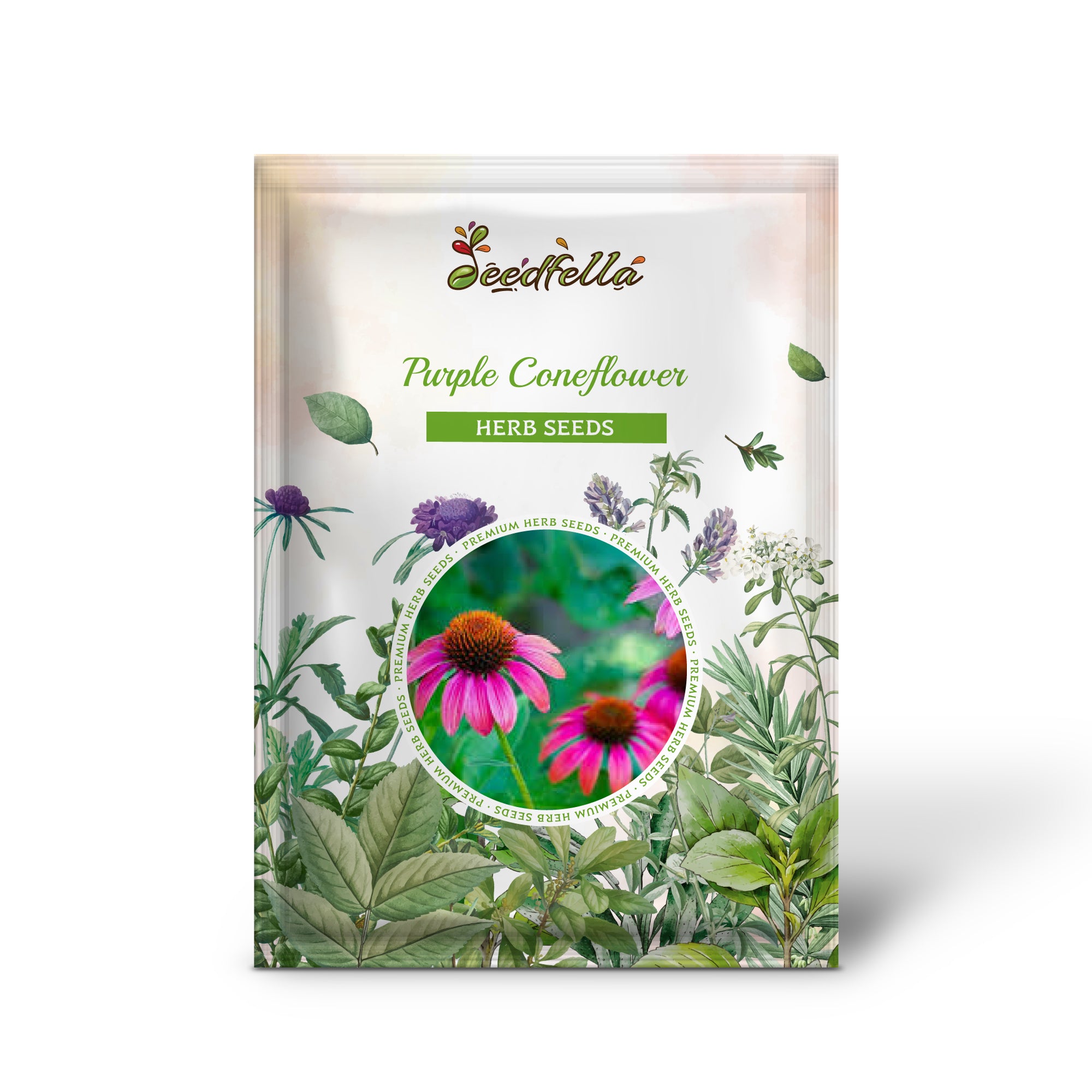 Premium Purple Coneflower Heirloom Seeds Pack