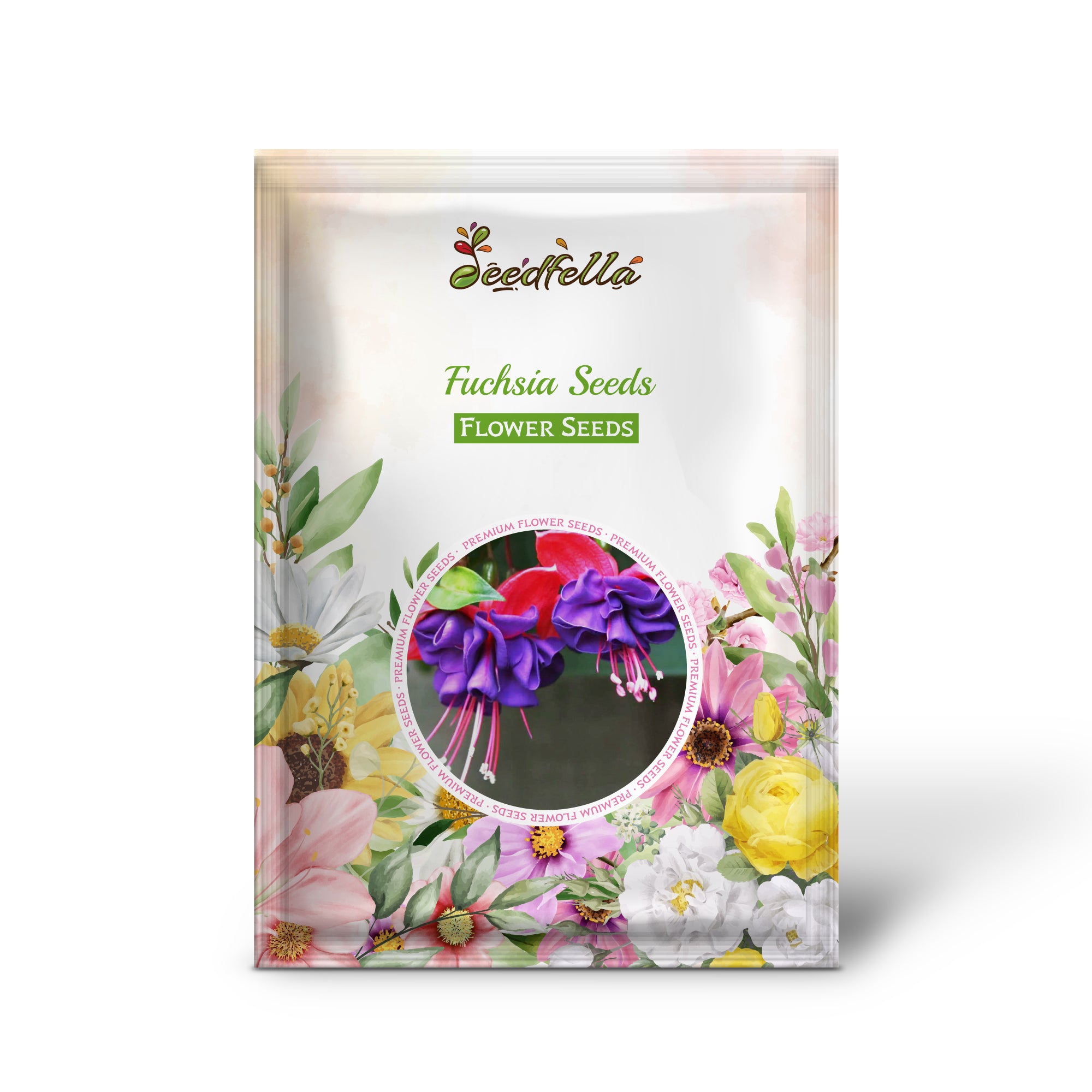 Purple Double Petal Fuchsia flowers in bloom