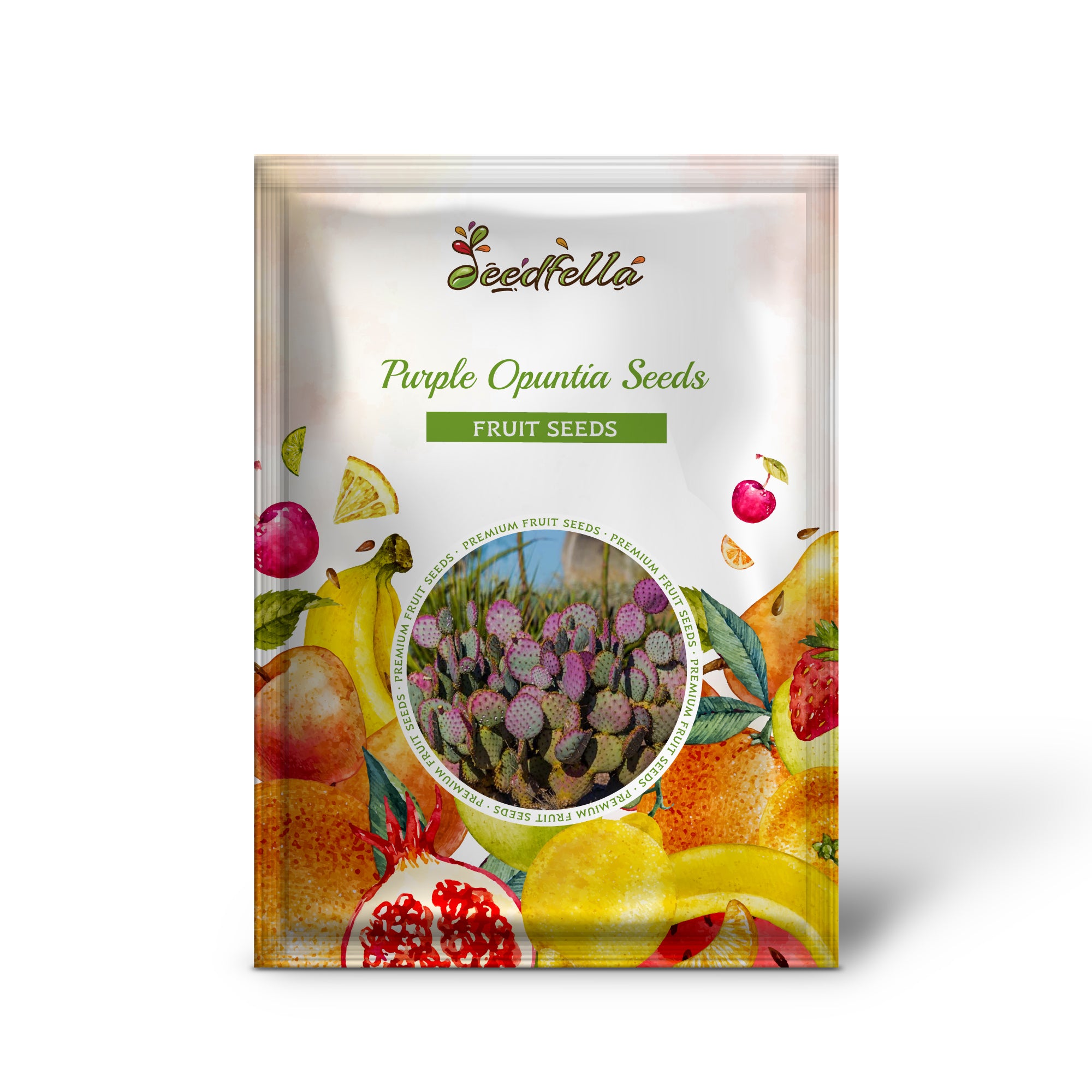 Harvested Purple Opuntia Cactus Fruit, Prickly Pears Ready to Eat