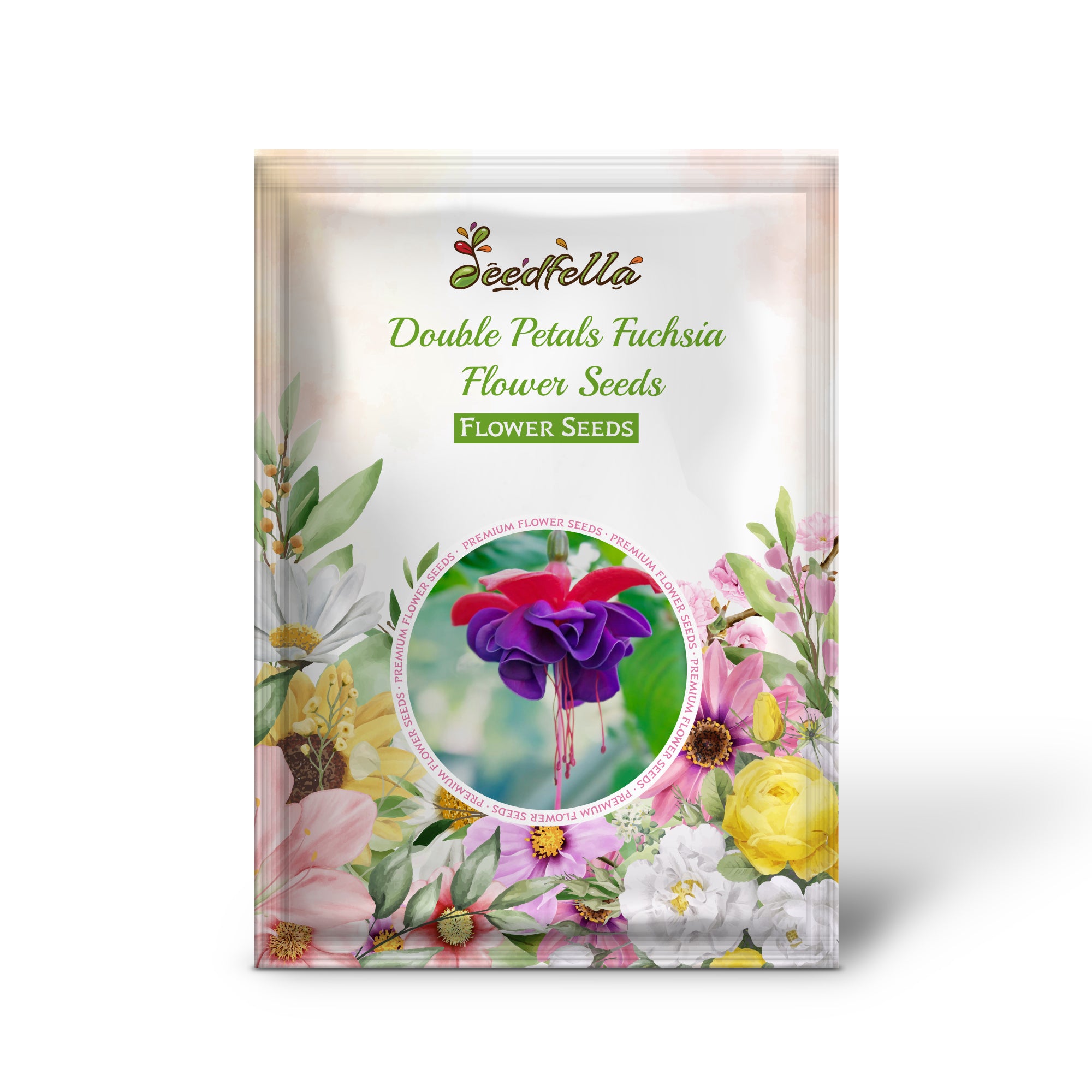 Unique Purple and Pink Double Fuchsia Blooms