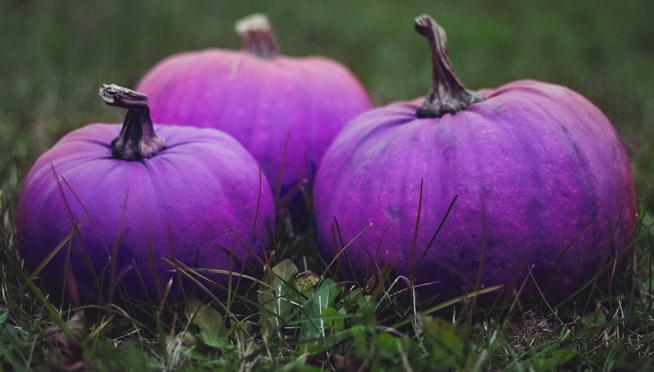 Purple pumpkin seeds for planting