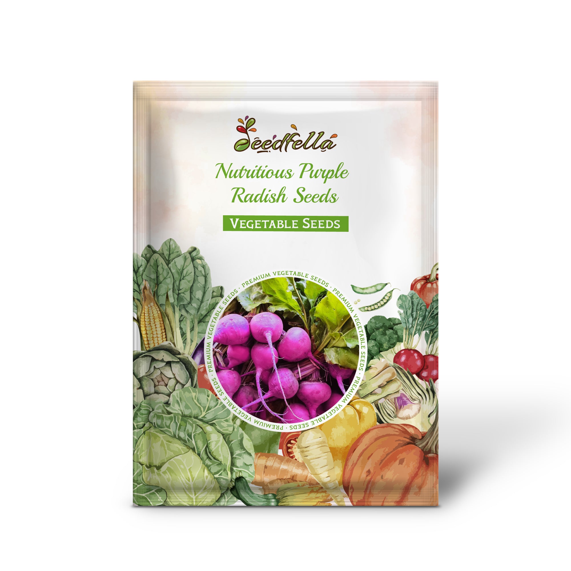 Purple radish plants growing in garden soil