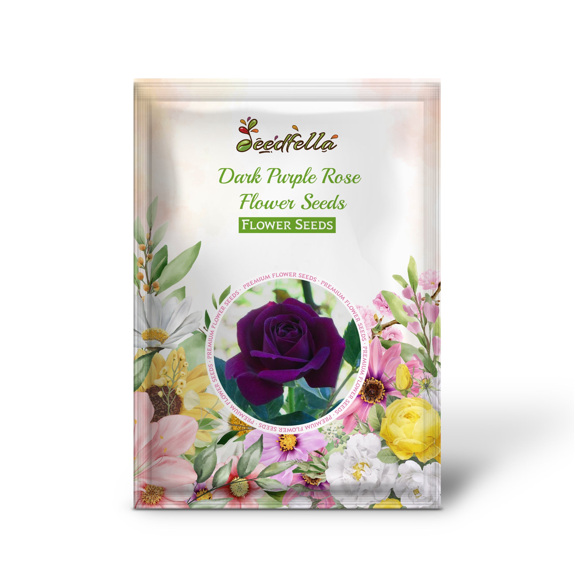 Dark Purple Roses in Full Bloom