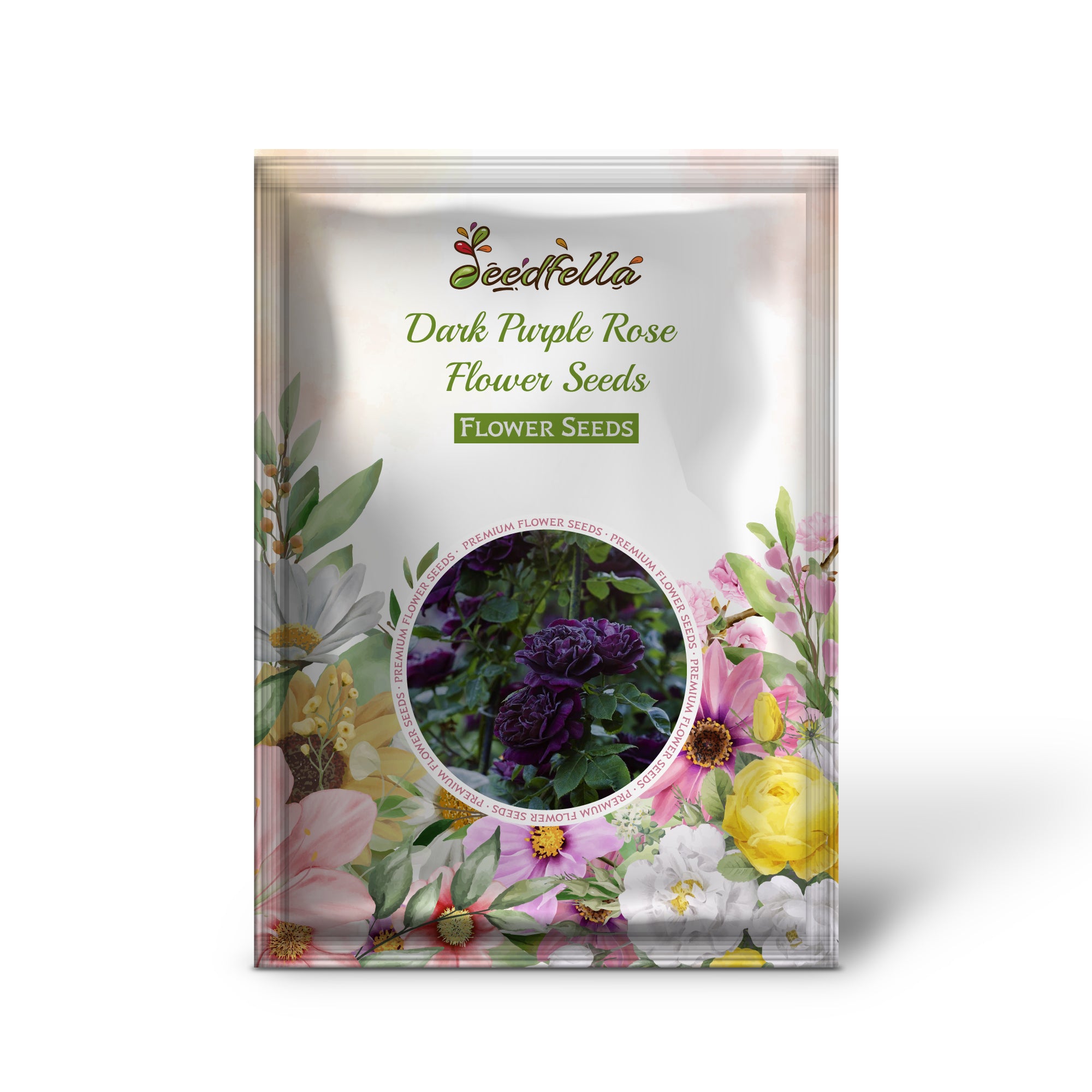 Non GMO purple rose seeds for home gardening