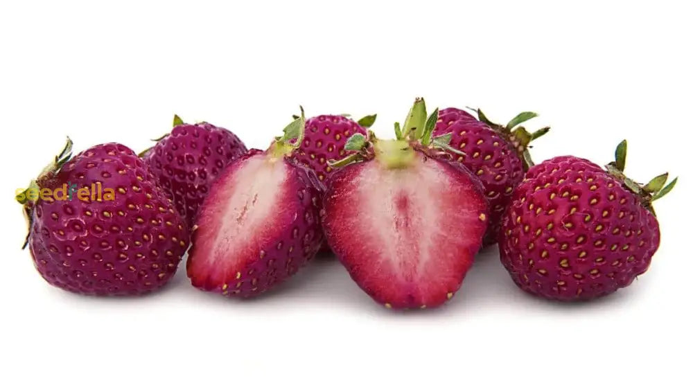 Purple Strawberry Seeds For Planting Fruit