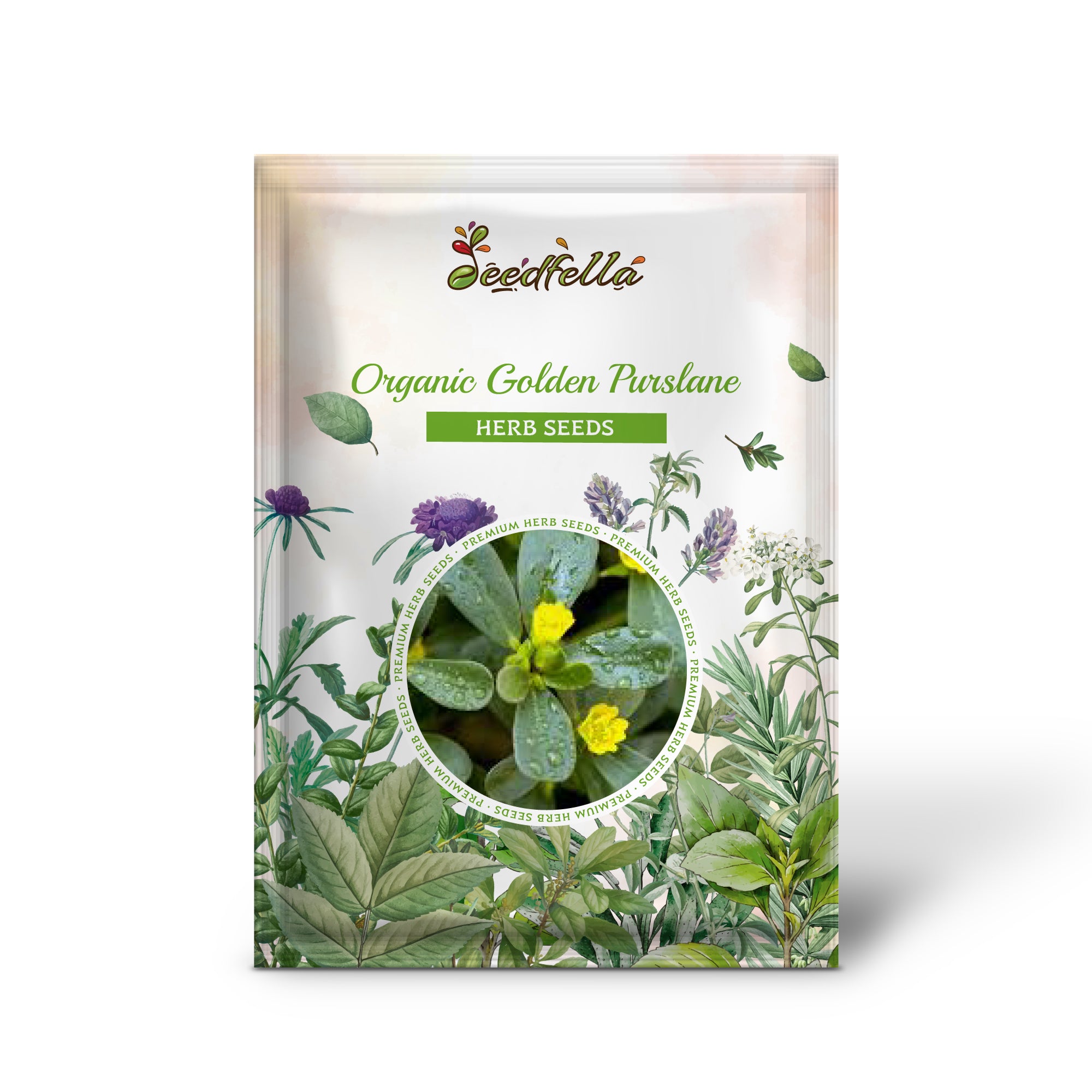 Premium Golden Purslane Seed Pack for Garden and Edible Landscaping