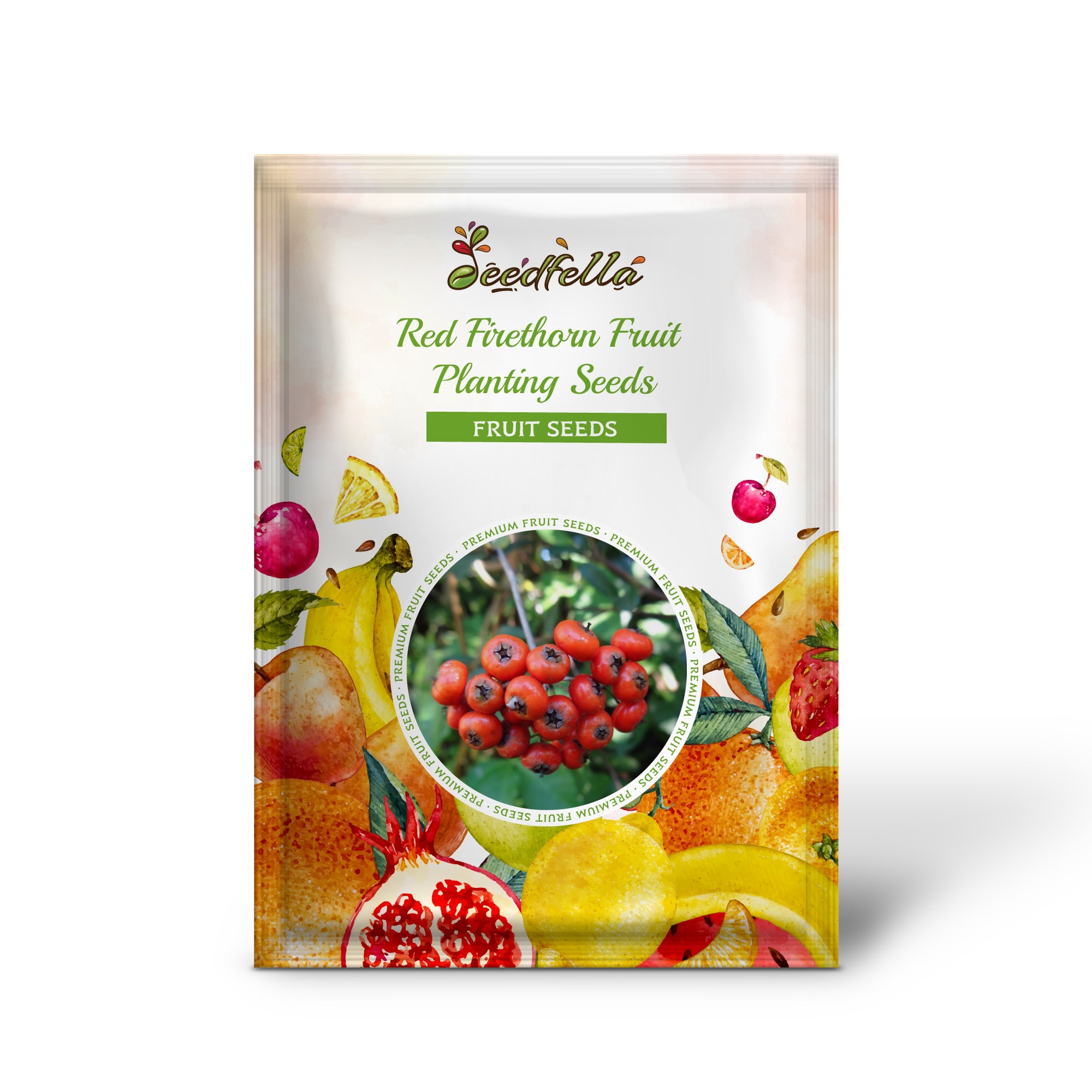 Pyracantha Coccinea Seeds for Ornamental Garden Planting