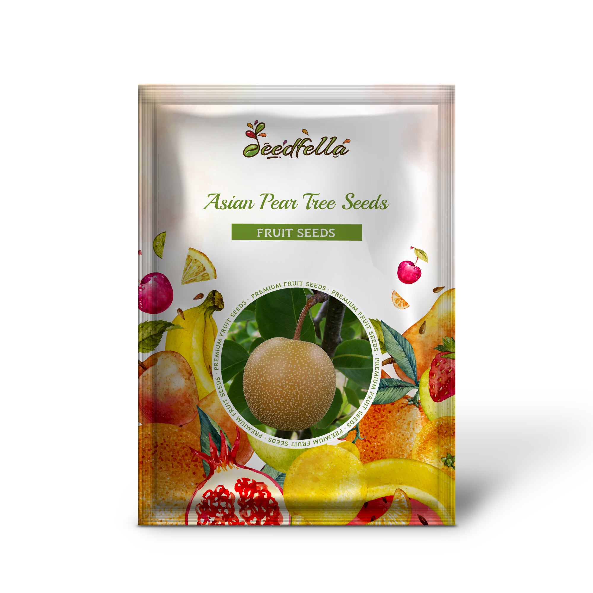 Pyrus pyrifolia Asian pear seeds producing golden round sweet fruits