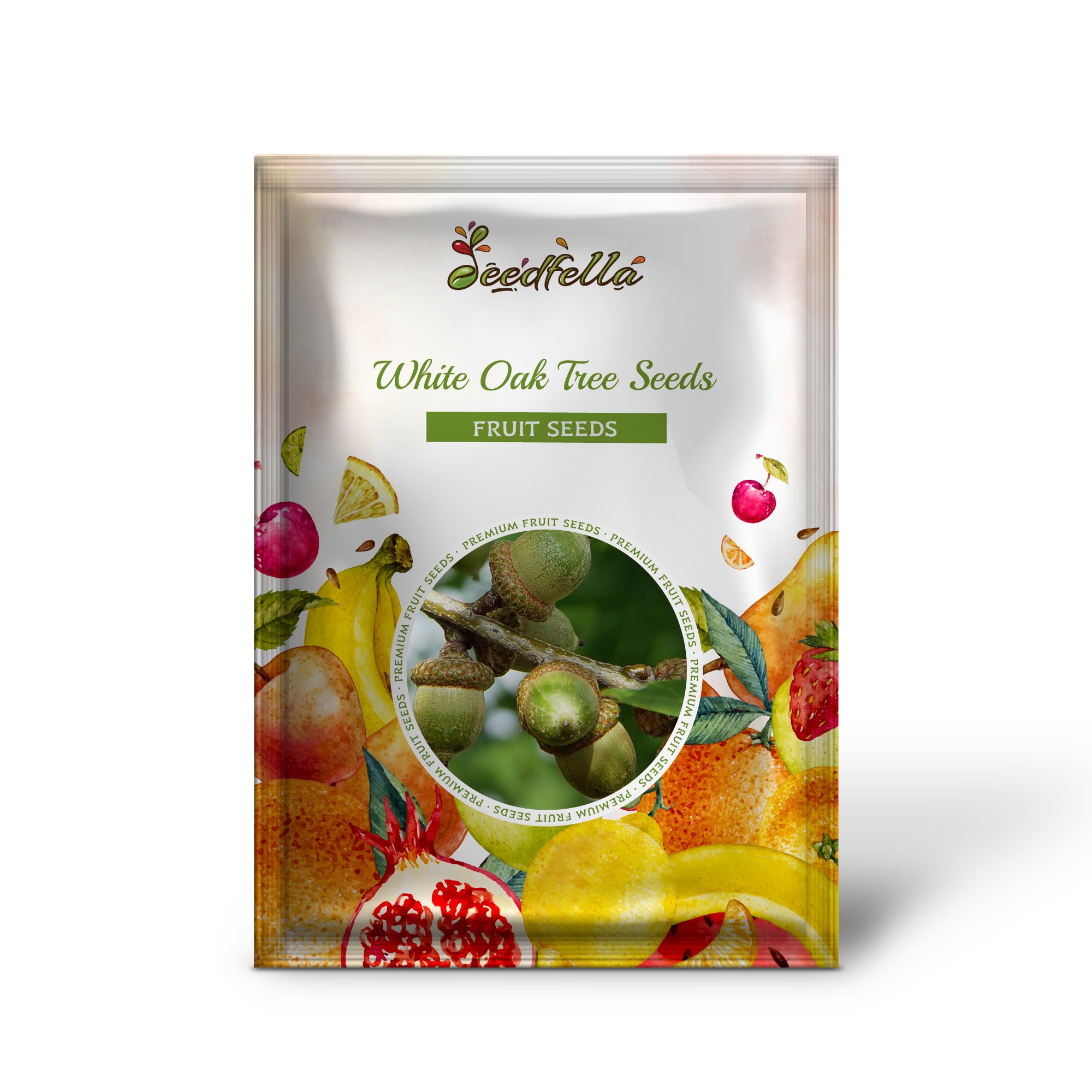 Quercus alba white oak seeds producing acorns for wildlife