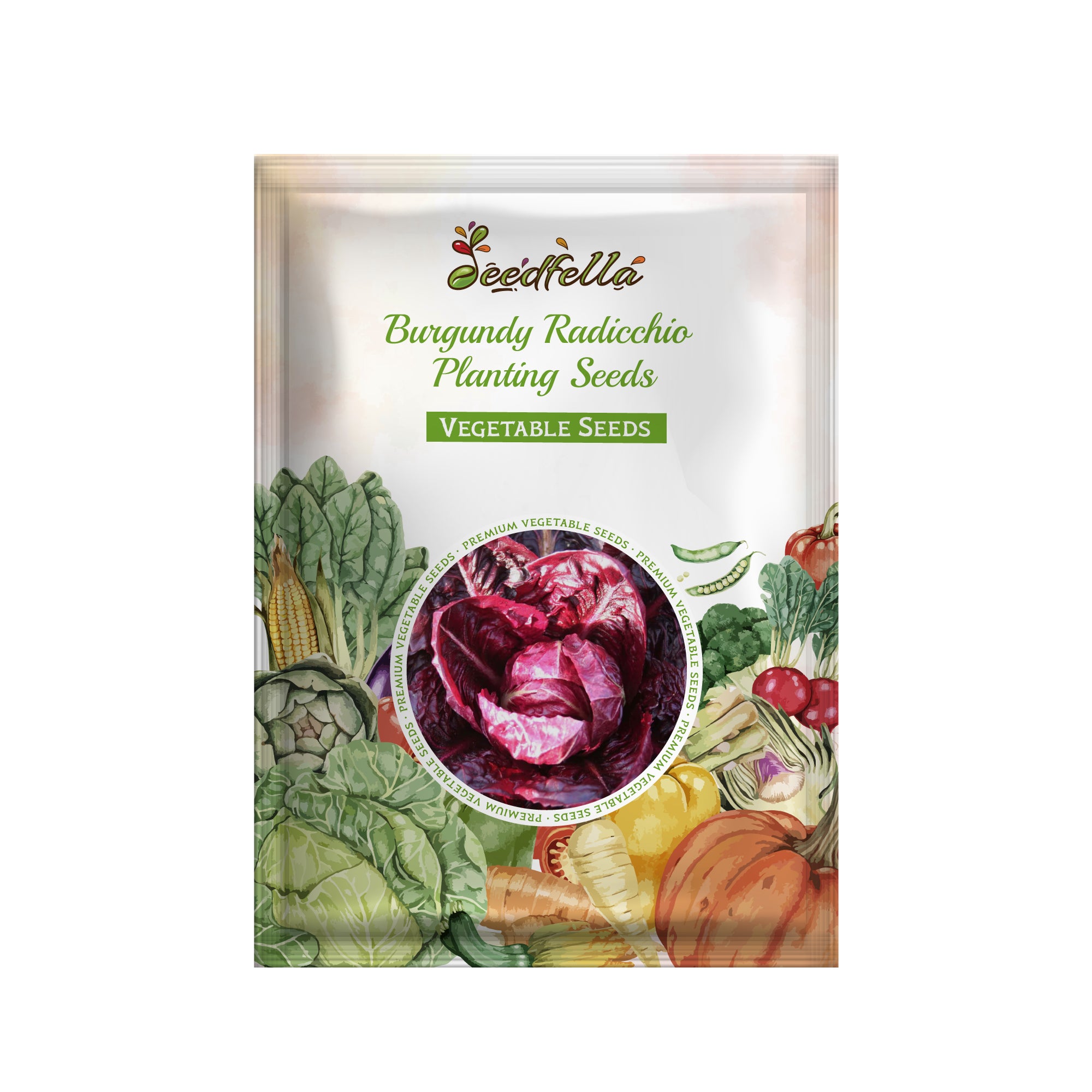 Radicchio leafy vegetable growing guide