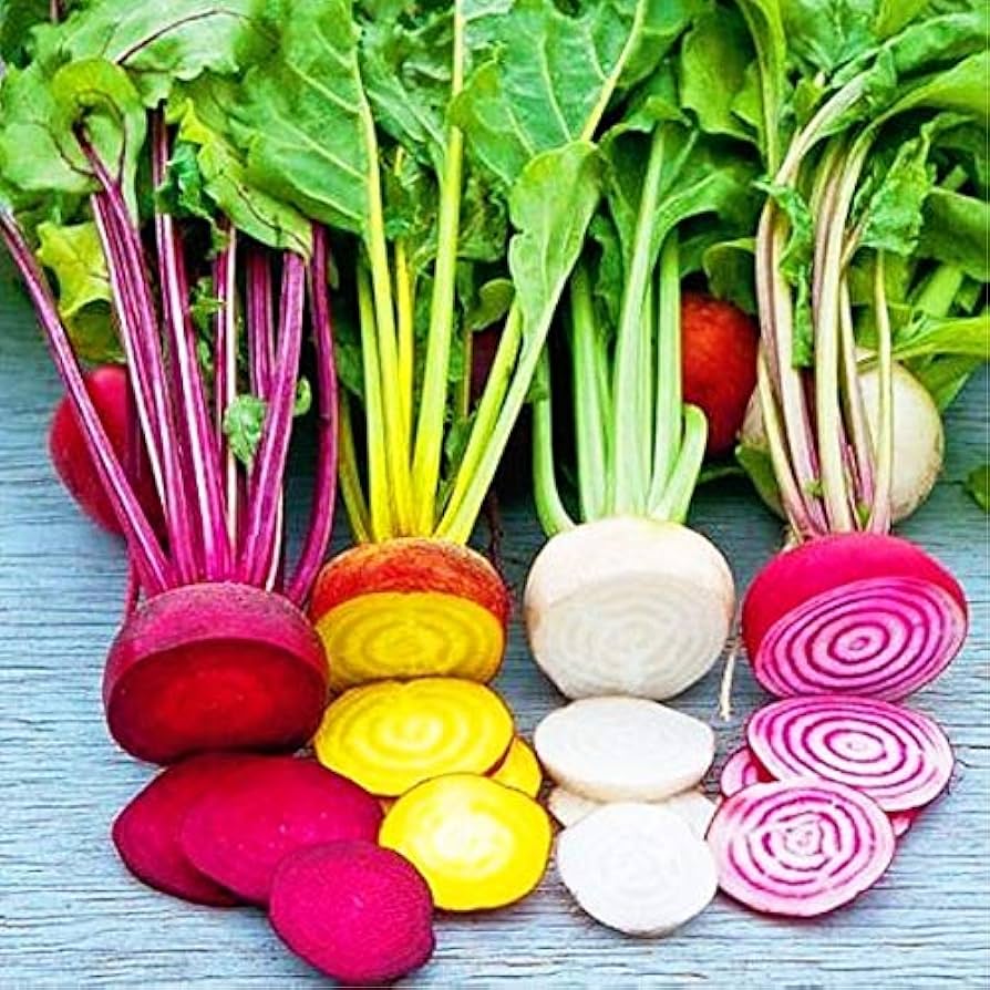Rainbow radish seeds for planting
