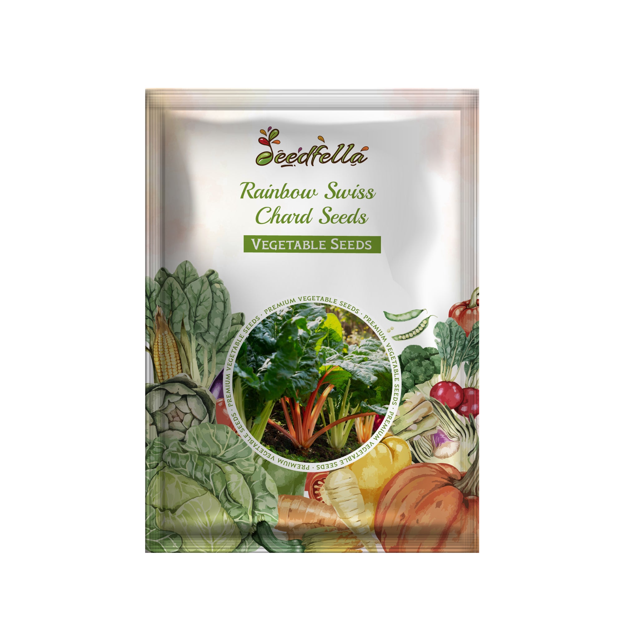 Rainbow Swiss Chard seedlings sprouting in soil