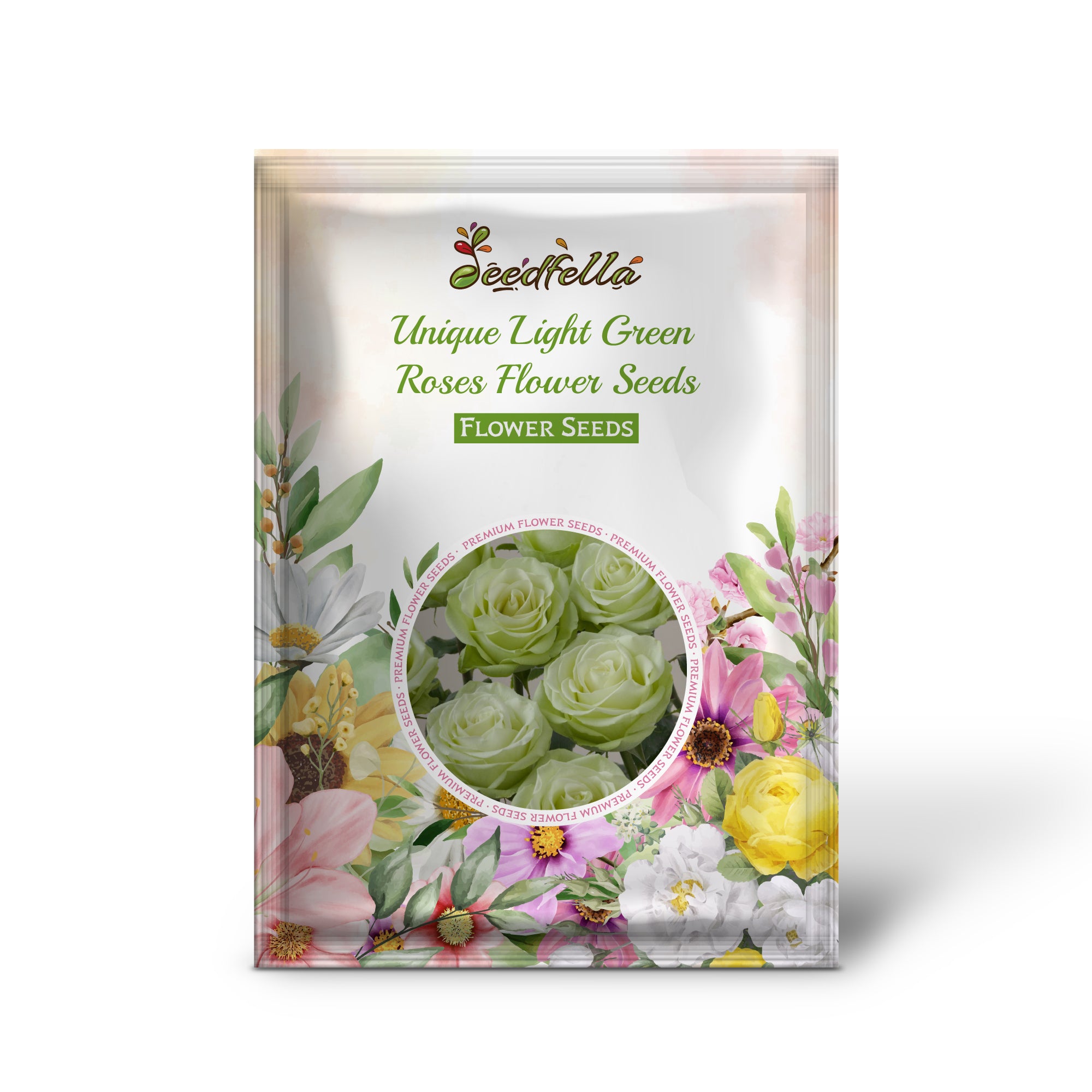 Rare Light Green Rose Blooms for Garden Decoration