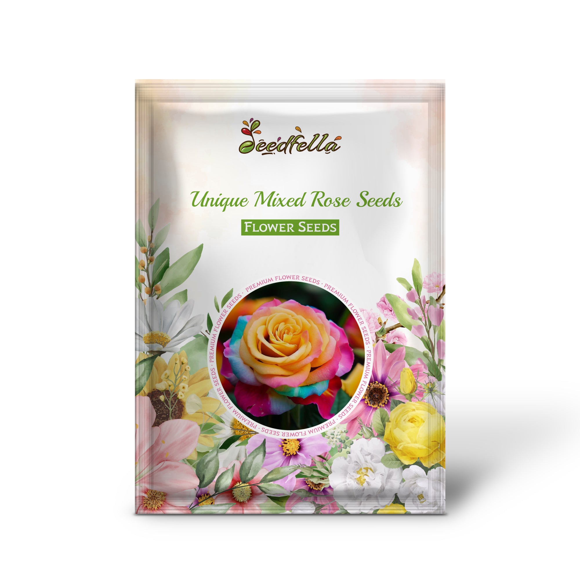 Rare Mixed Rose Blooms for Garden Decoration