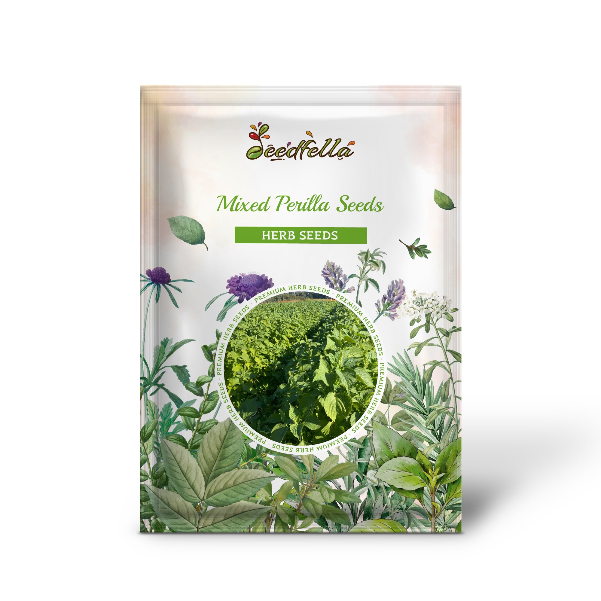 Red and Green Perilla Seeds – Heirloom Shiso Variety