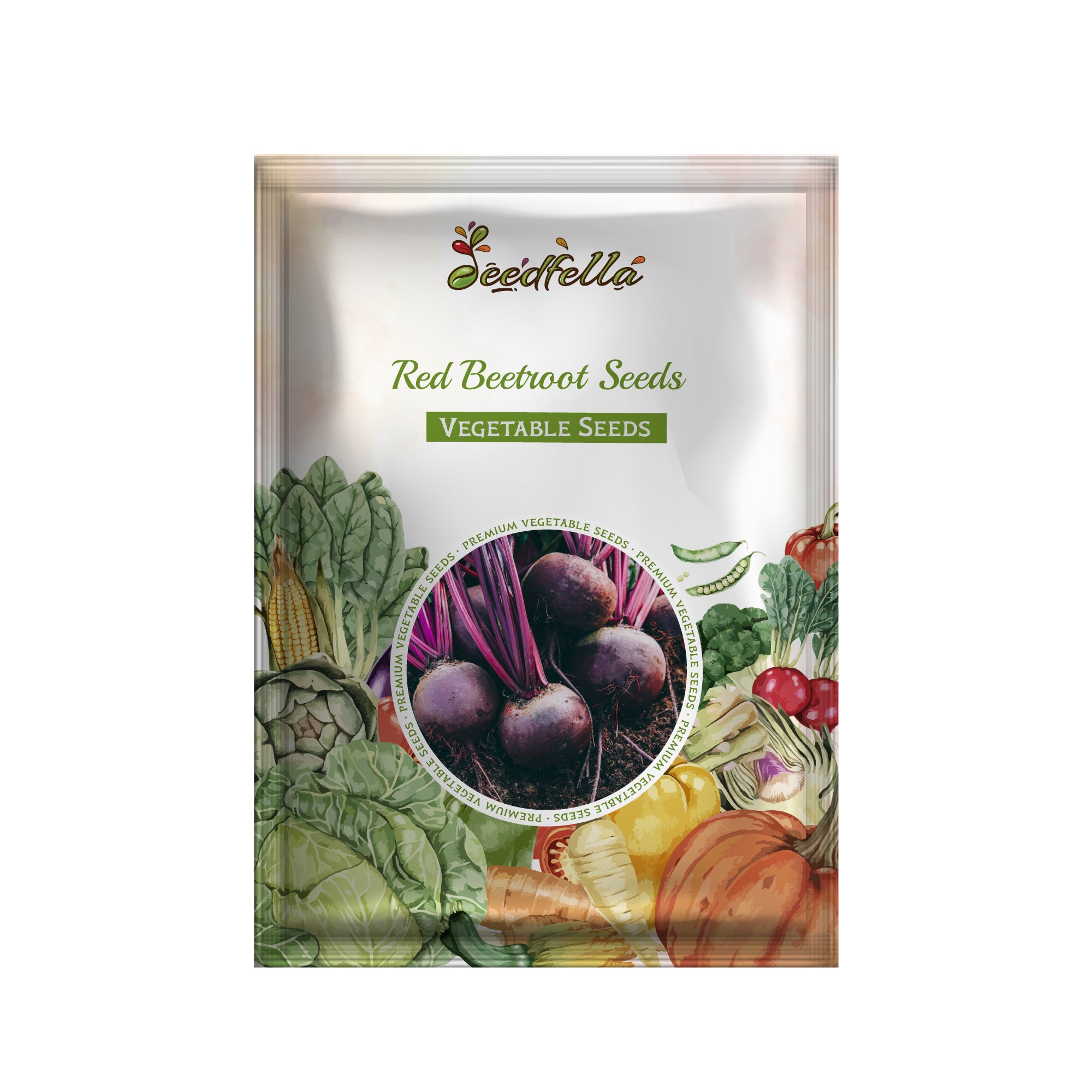 Red Beetroot seedlings sprouting in soil