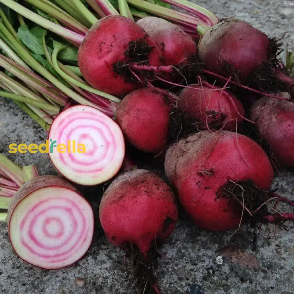 Red Beetroot Seeds For Planting - Grow Delicious Vegetables Vegetable Seeds