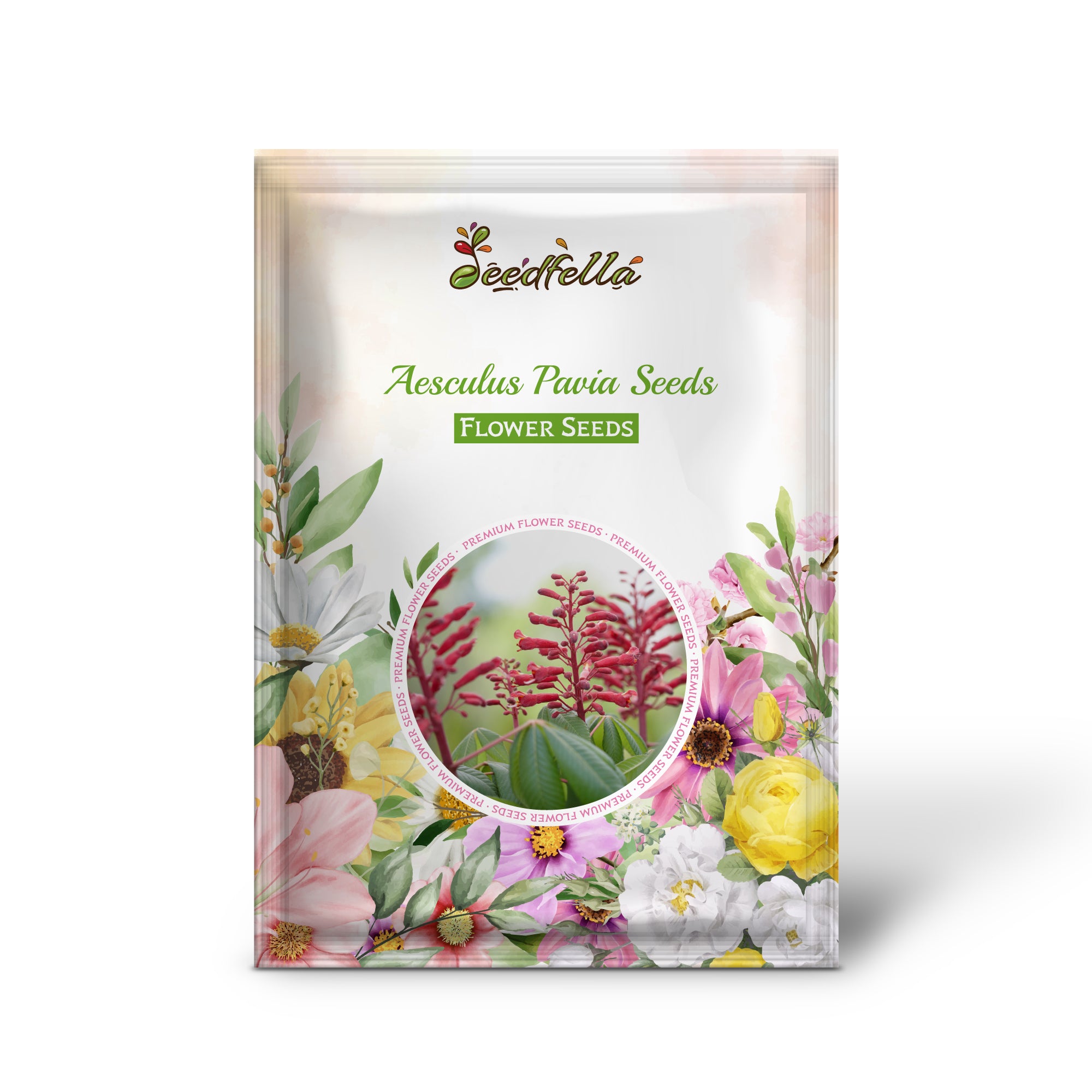 Red Buckeye ornamental tree with red blooms