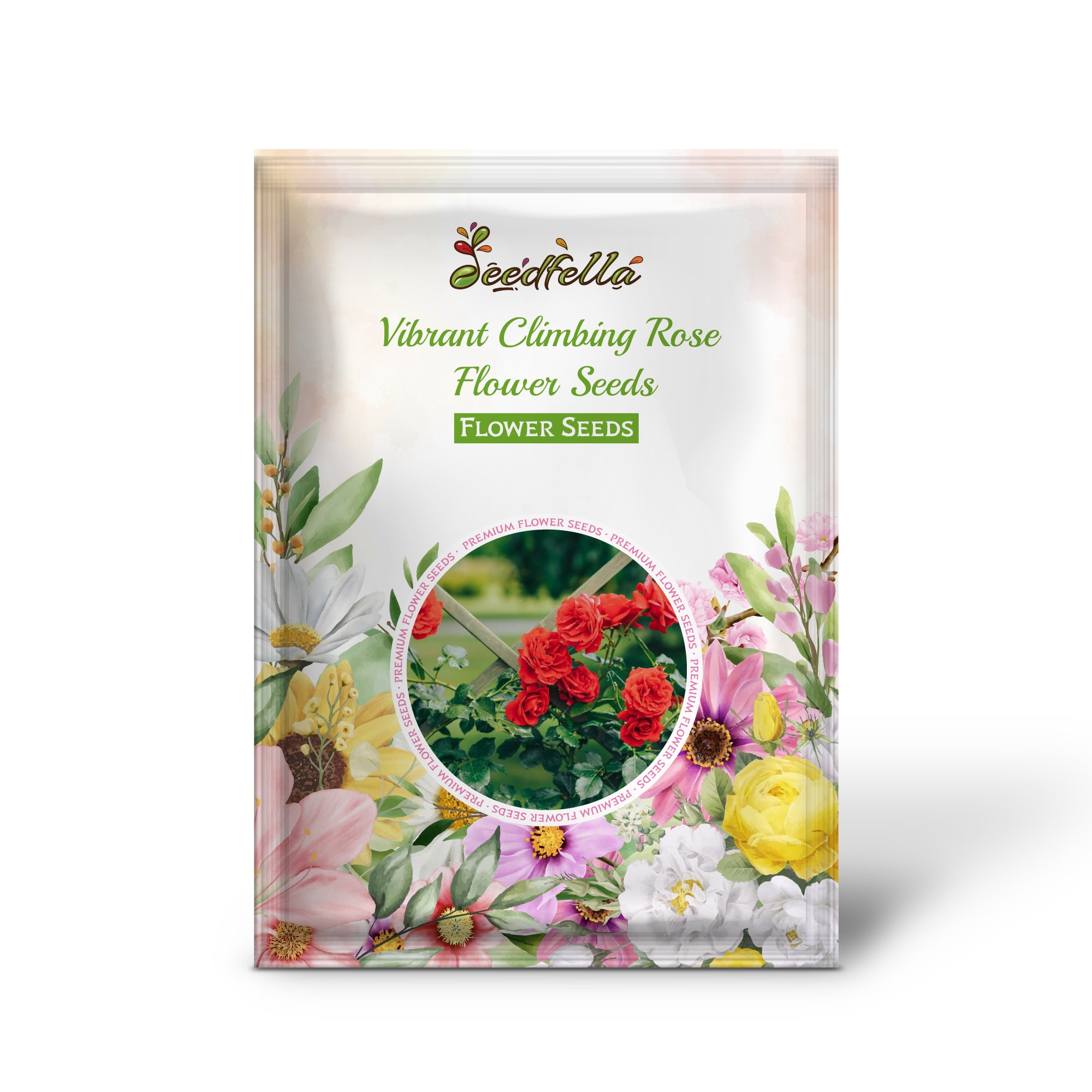 Vibrant Red Climbing Rose Blooms for Garden Decoration