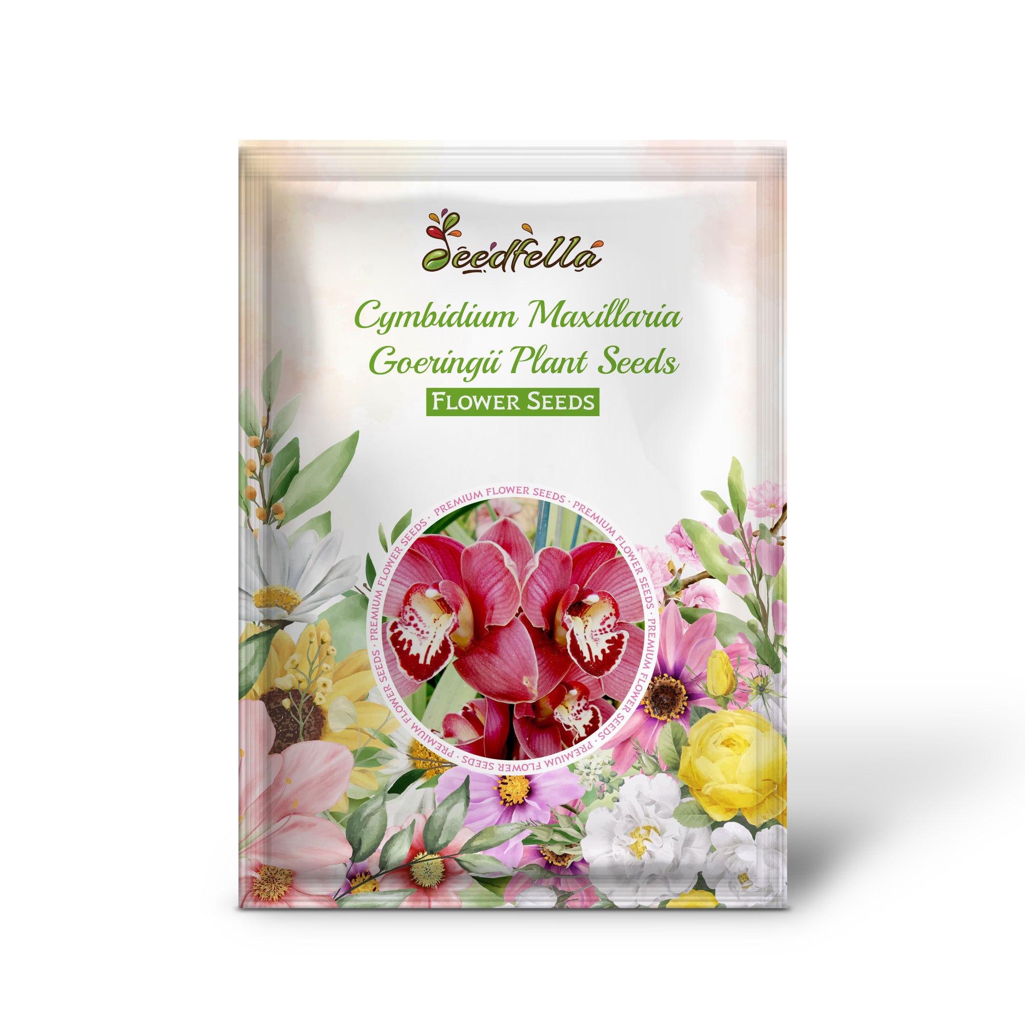 Vibrant Red Cymbidium Flowers in Garden