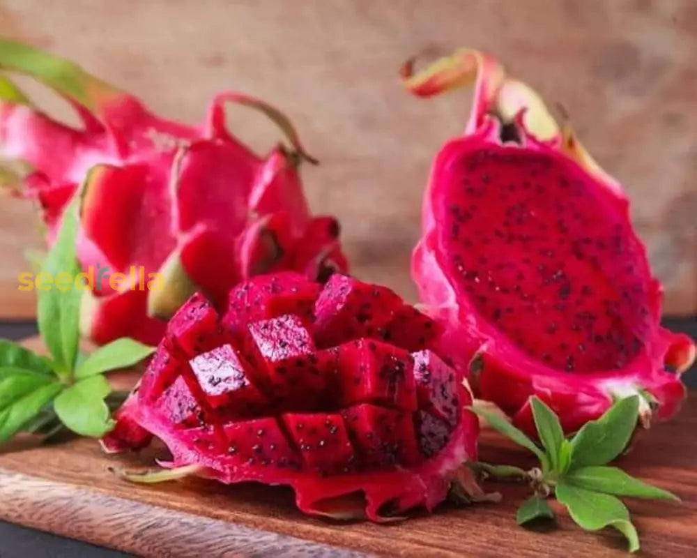 Red Dragon Fruit Seeds For Planting - Grow Tropical Plants In Your Garden