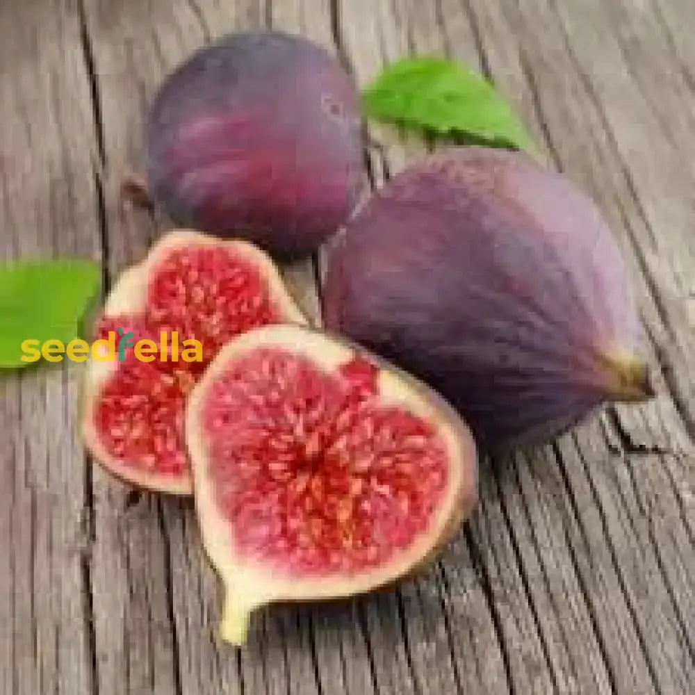 Red Fig Tree Seeds For Planting  Seed Lush Sweet Harvests In Gardens And Backyards Fruit