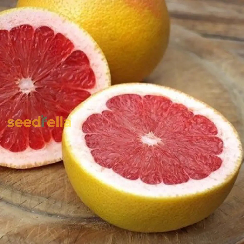 Red Grapefruit Seeds For Planting - Grow Delicious Citrus Fruits At Home Fruit