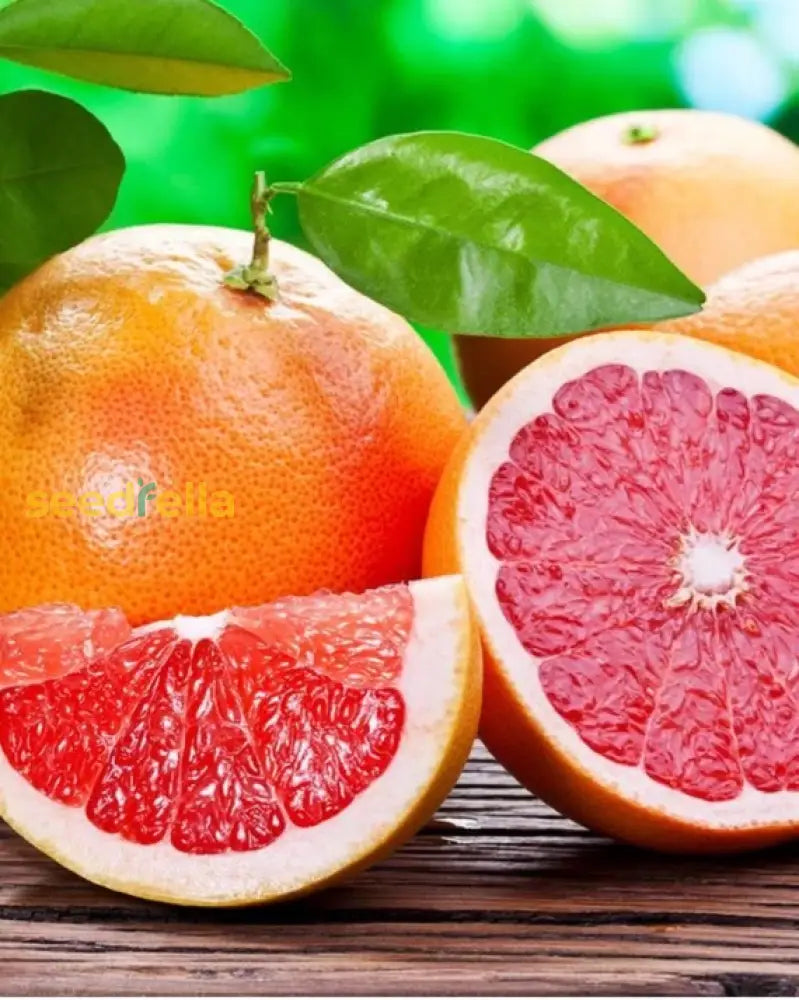 Red Grapefruit Seeds For Planting - Grow Delicious Citrus Fruits At Home Fruit