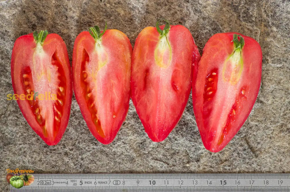 Red Grushovka tomato seeds heirloom variety for planting