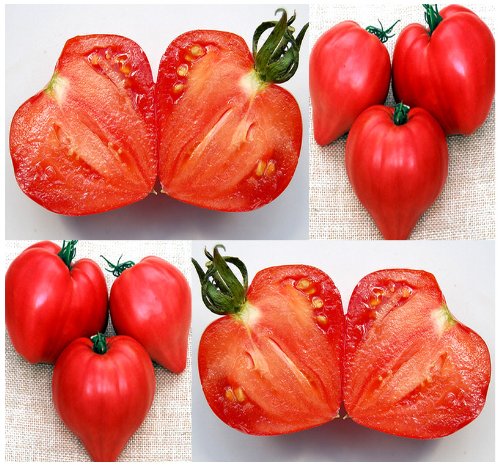 Red Heart Tomato Seeds main image with heart-shaped tomatoes