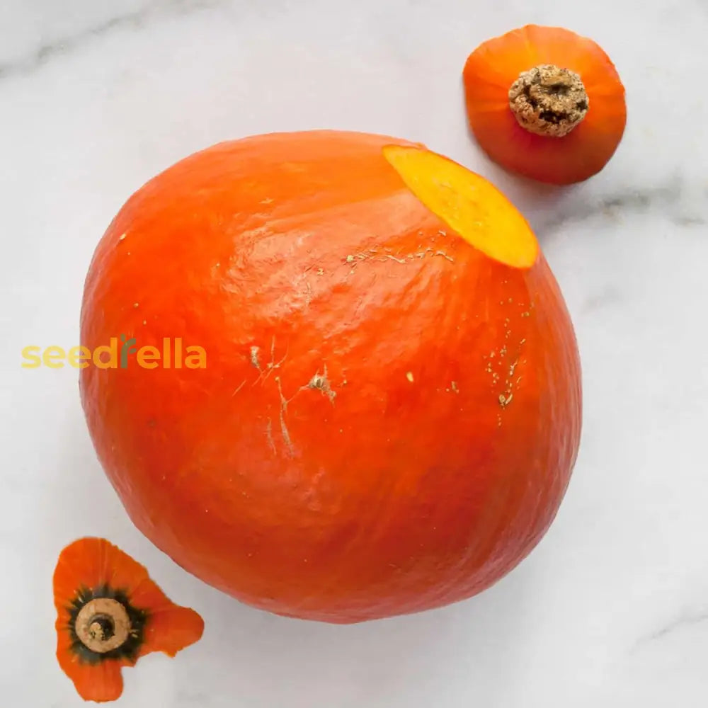 Red Kuri Squash Seeds Cucurbita Maxima Rich Dense And Sweet Flesh Culinary Uses Nutritious