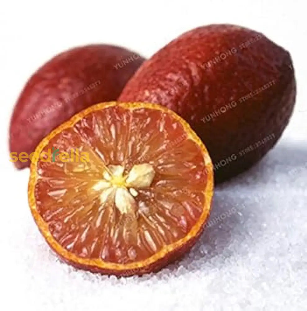 Red Lemon Fruit Seeds For Planting - Dark Variety Your Garden