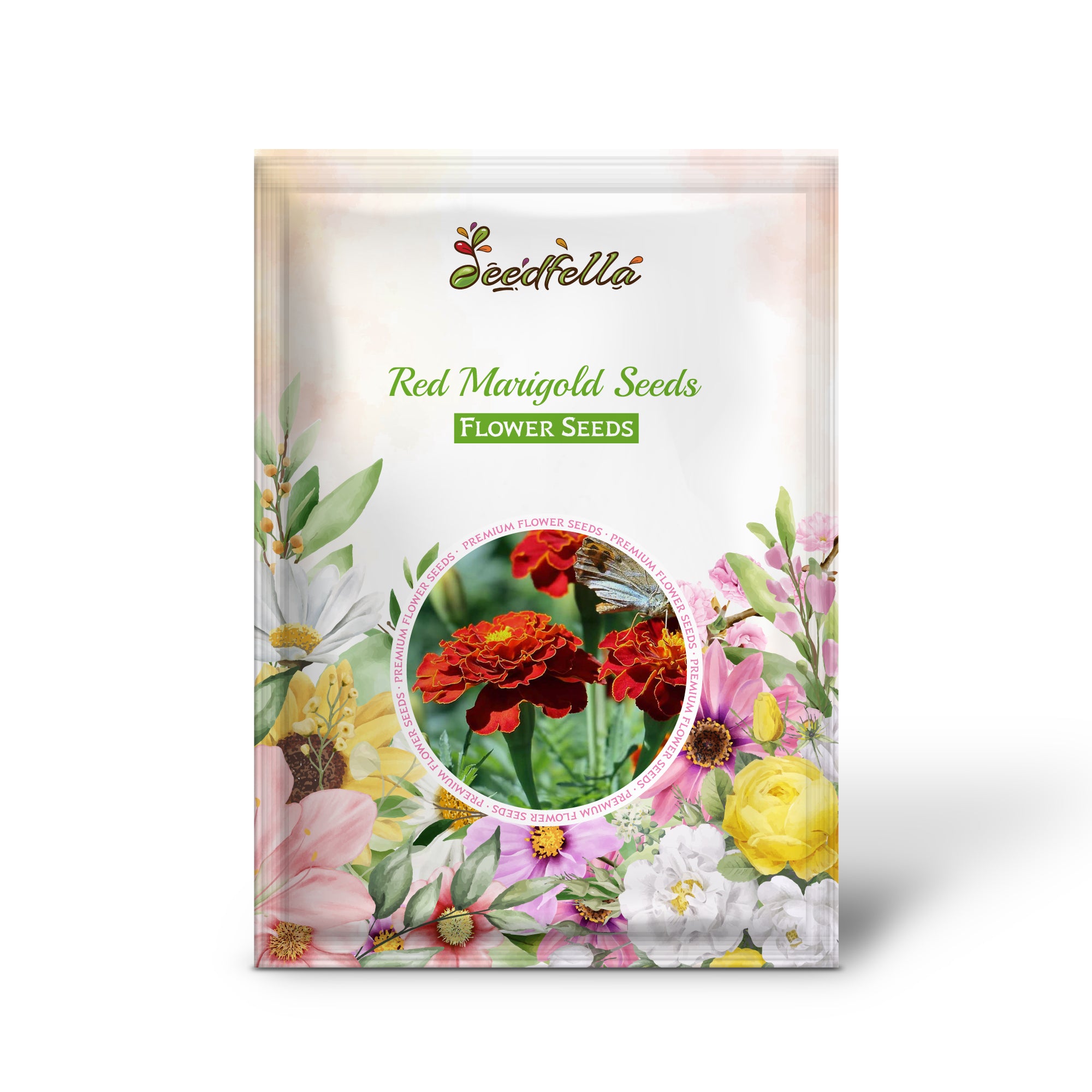 Red marigold seeds germinating indoors