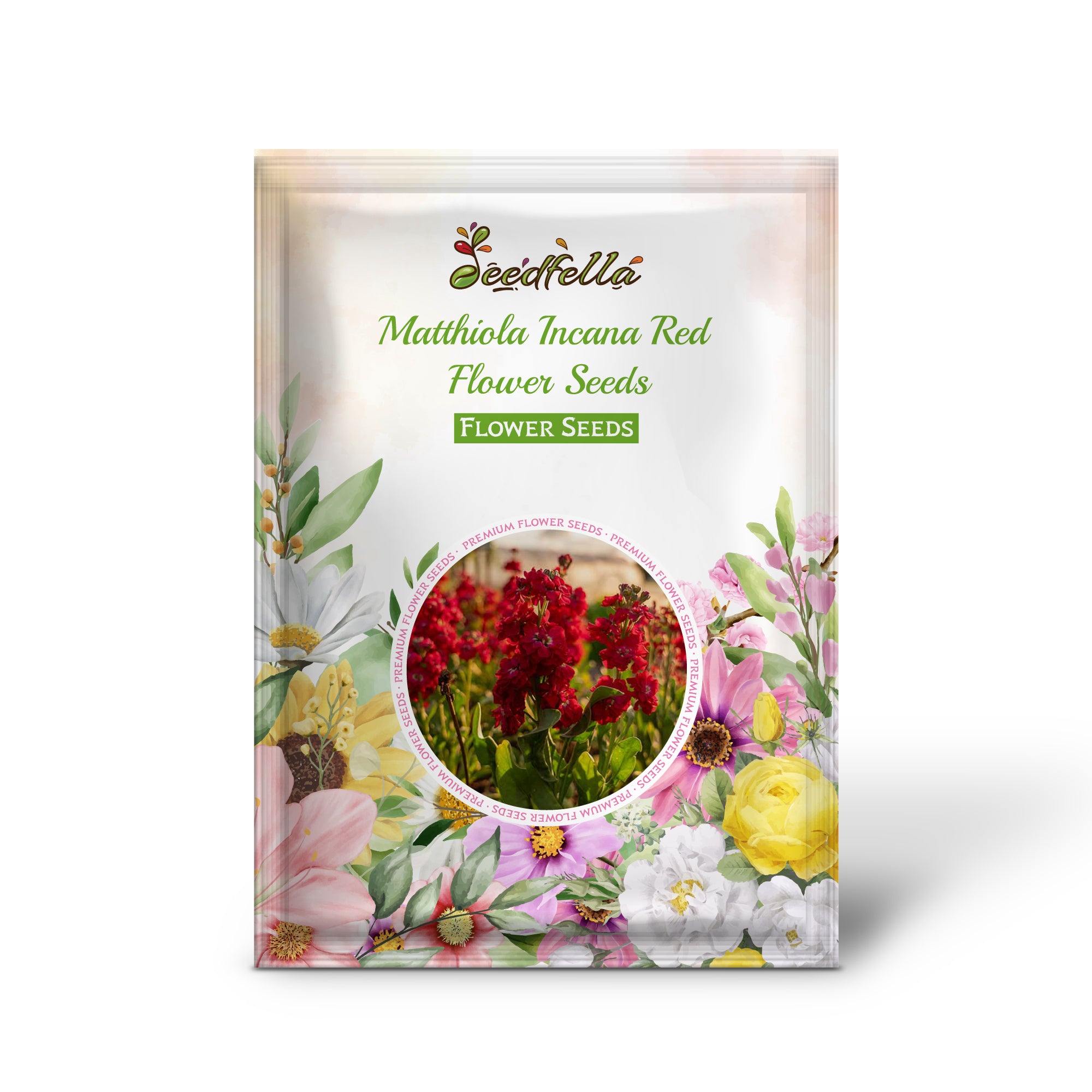 Red Matthiola Incana flowers in full bloom