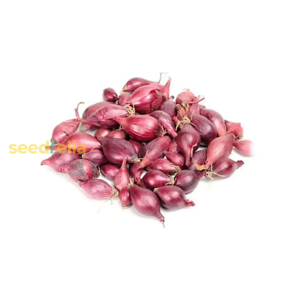 Red Prisma Vegetable Seeds For Easy Planting Seeds