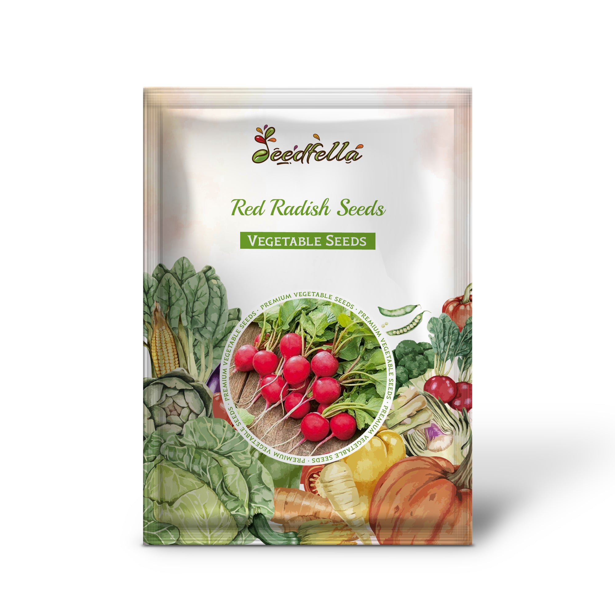 Red Radish seedlings emerging in garden soil