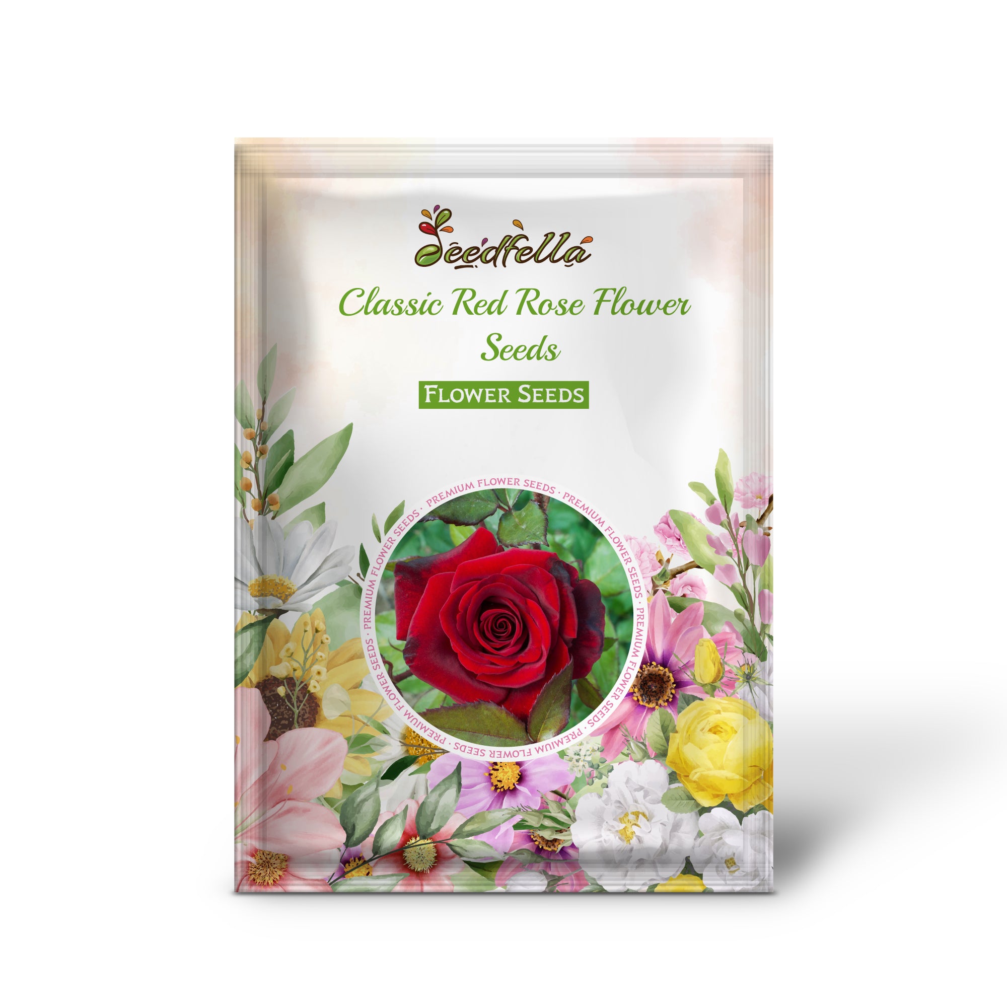 Deep Red Rose Flowers Blooming in Garden