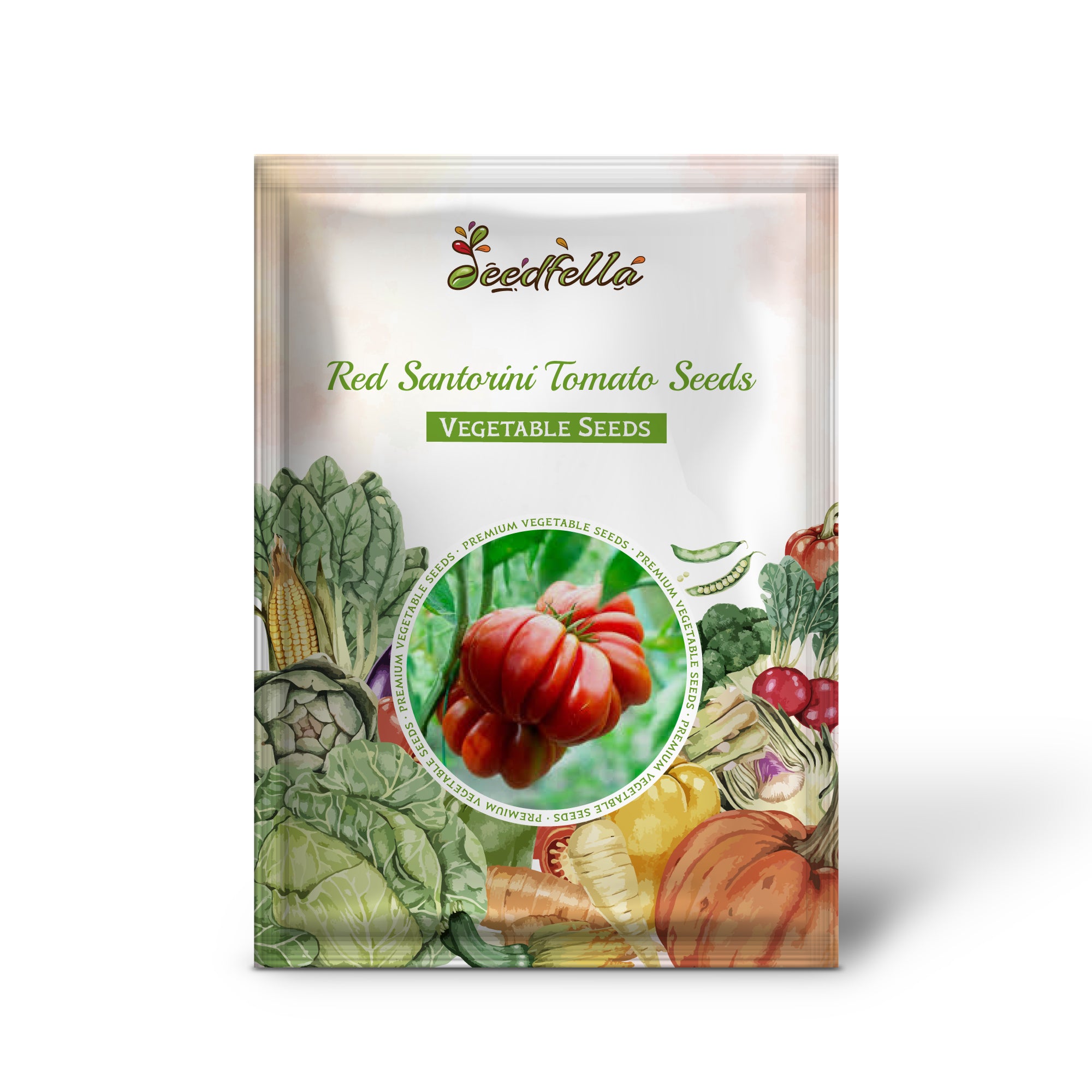 Red Santorini tomato seedlings sprouting in warm soil