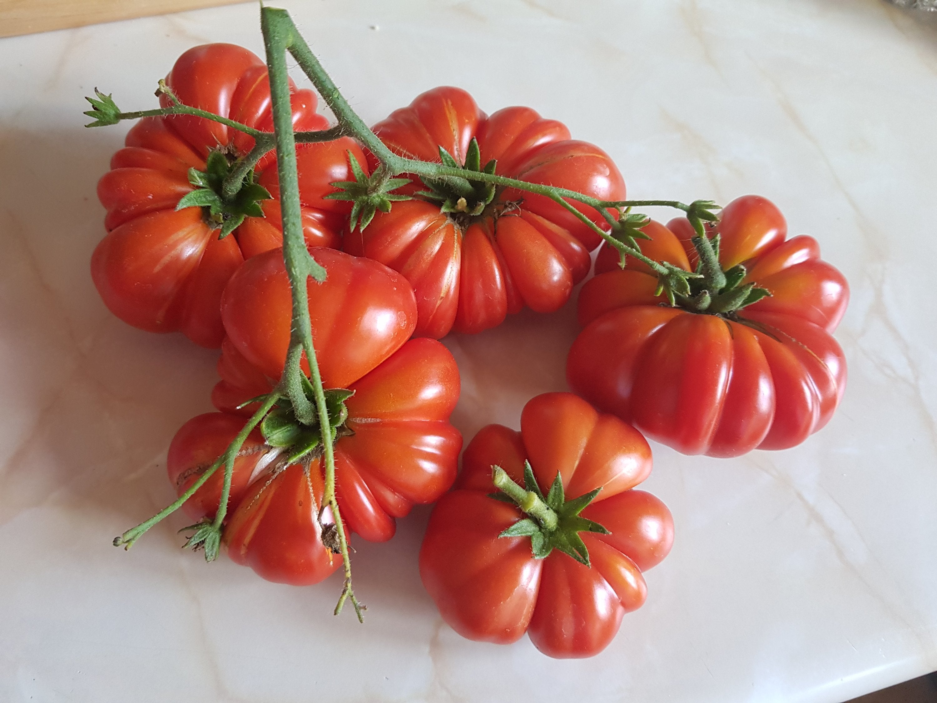Non-GMO Red Santorini Tomato Seeds for planting