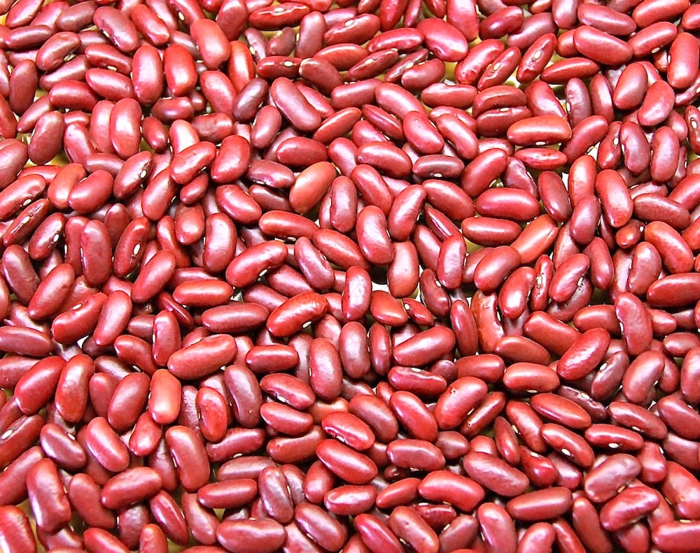 Red speckled bean seeds ideal for backyard gardens