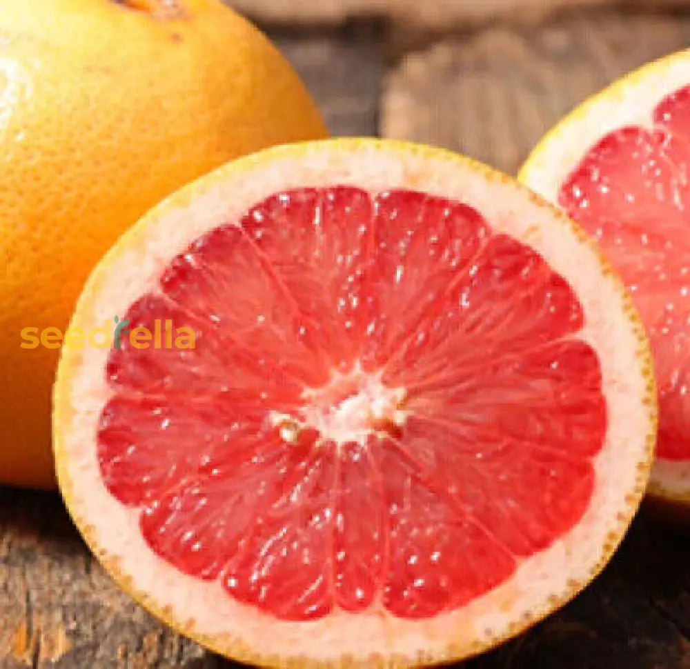 Red Sweet Grapefruit Fruit Seeds - Easy Planting For Fresh Citrus