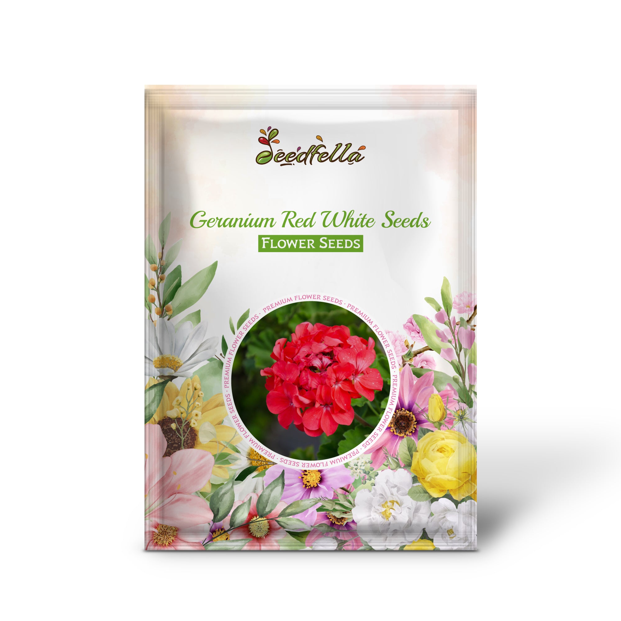 Red and White Geranium flowers in full bloom