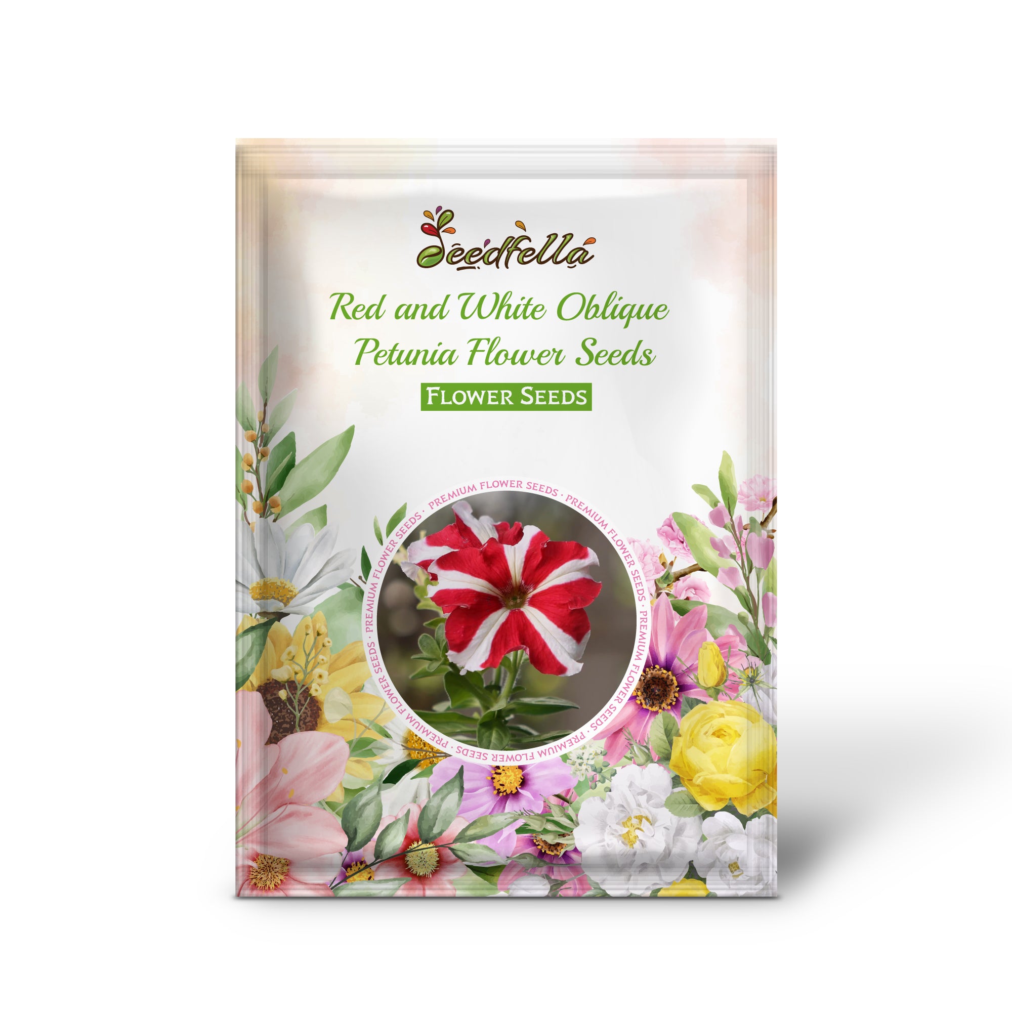 Red and White Oblique Petunia Blooms in Garden