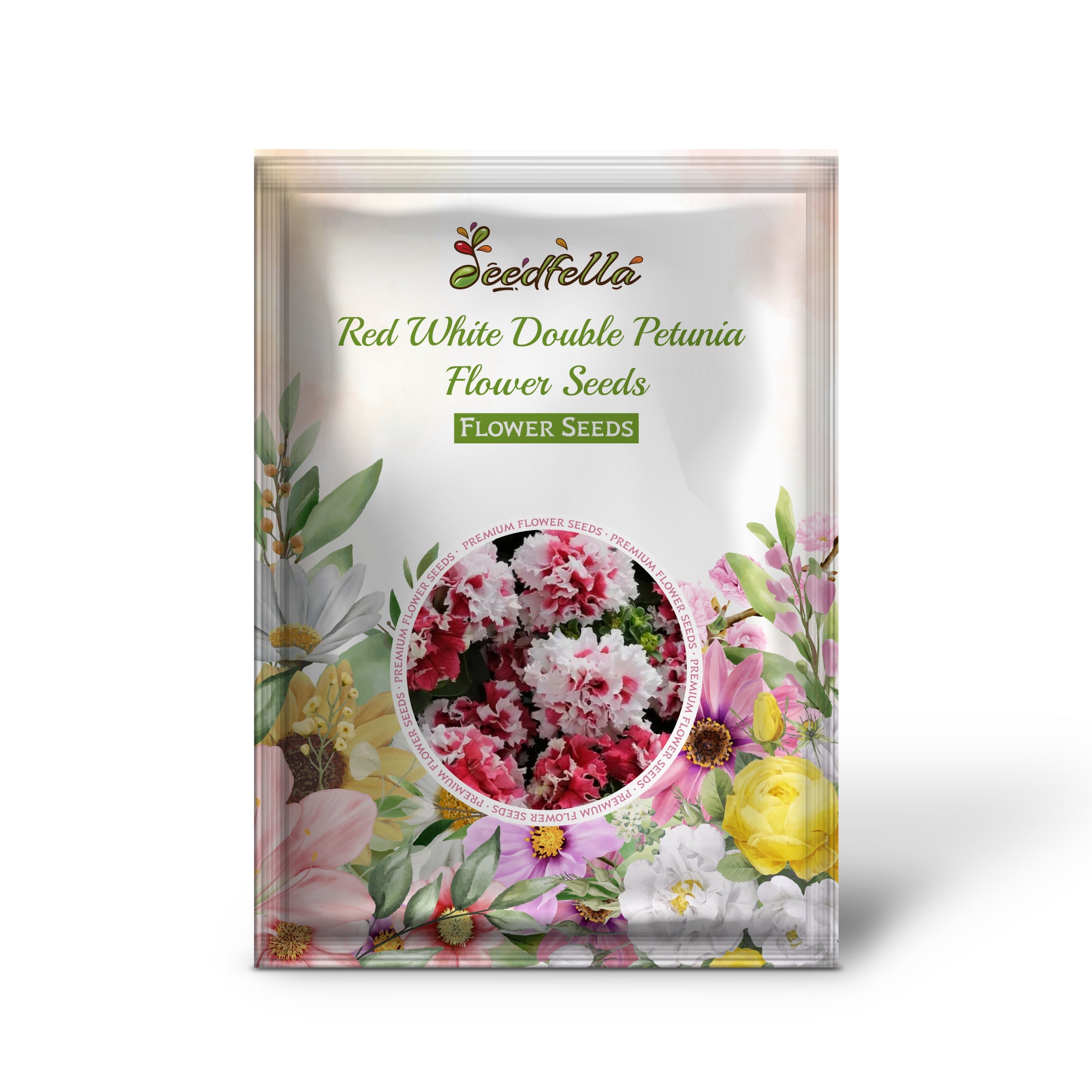 Red and White Double Petunia Flowers in Bloom