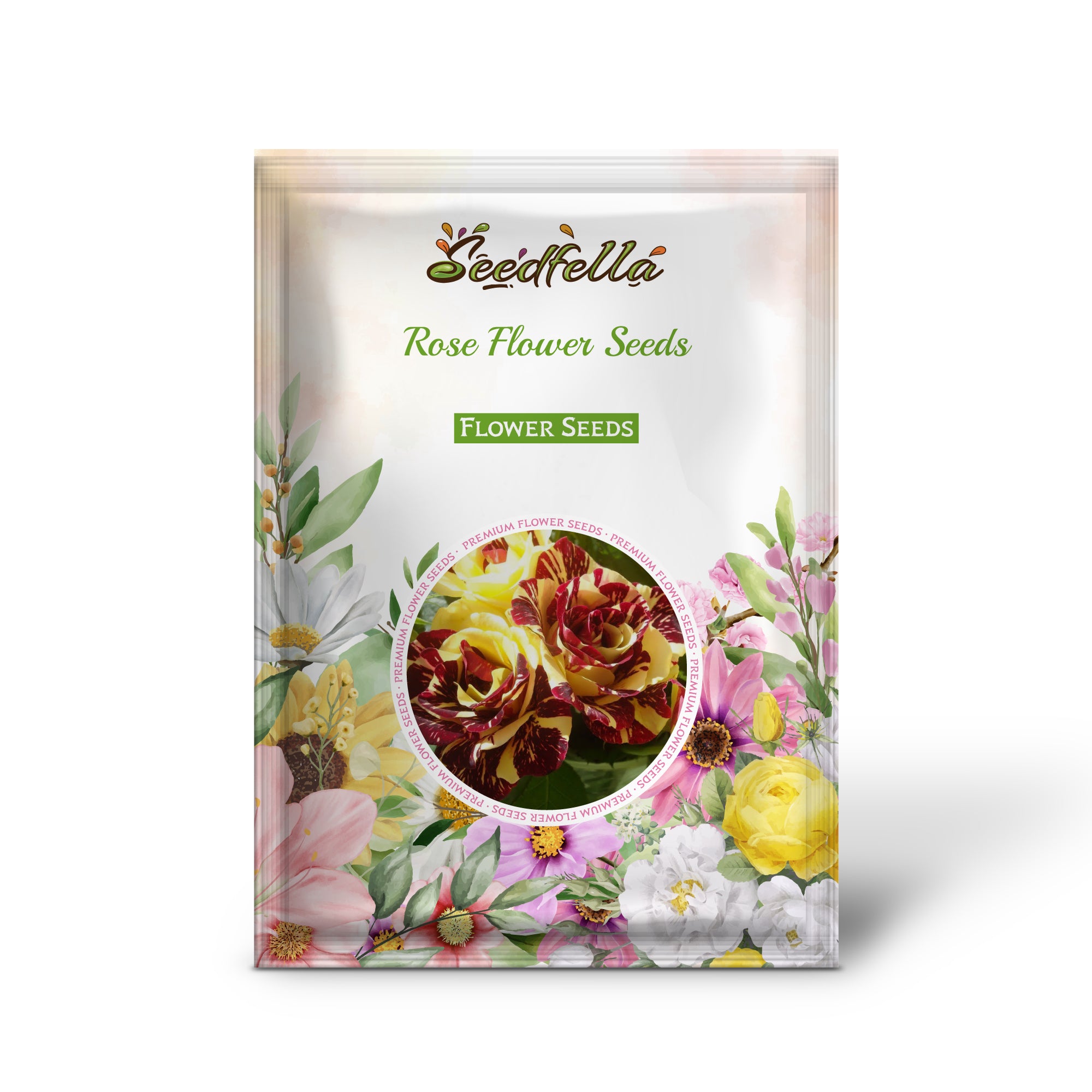 Red and yellow rose seeds germinating indoors