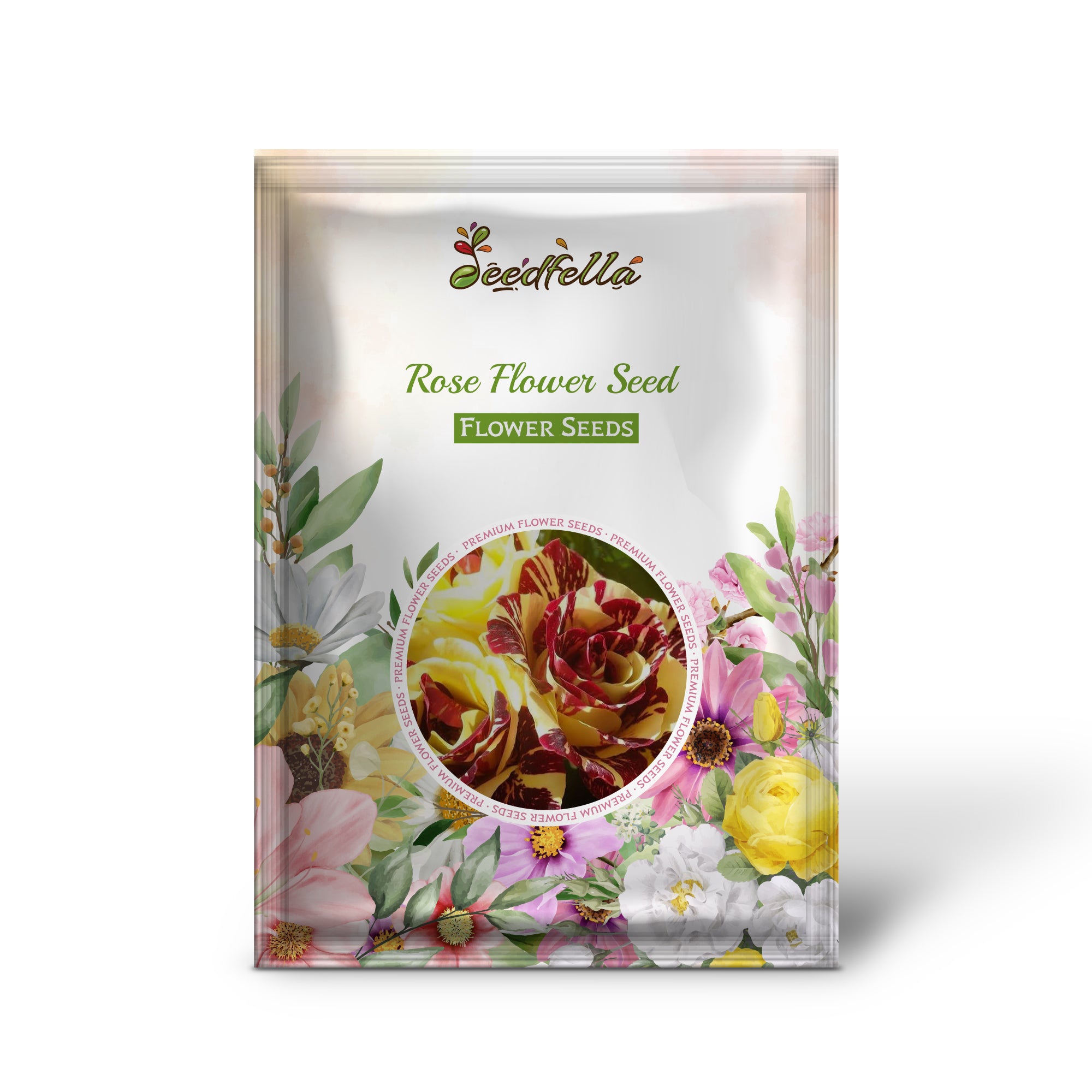 Bi-Color Red Yellow Roses in Full Bloom