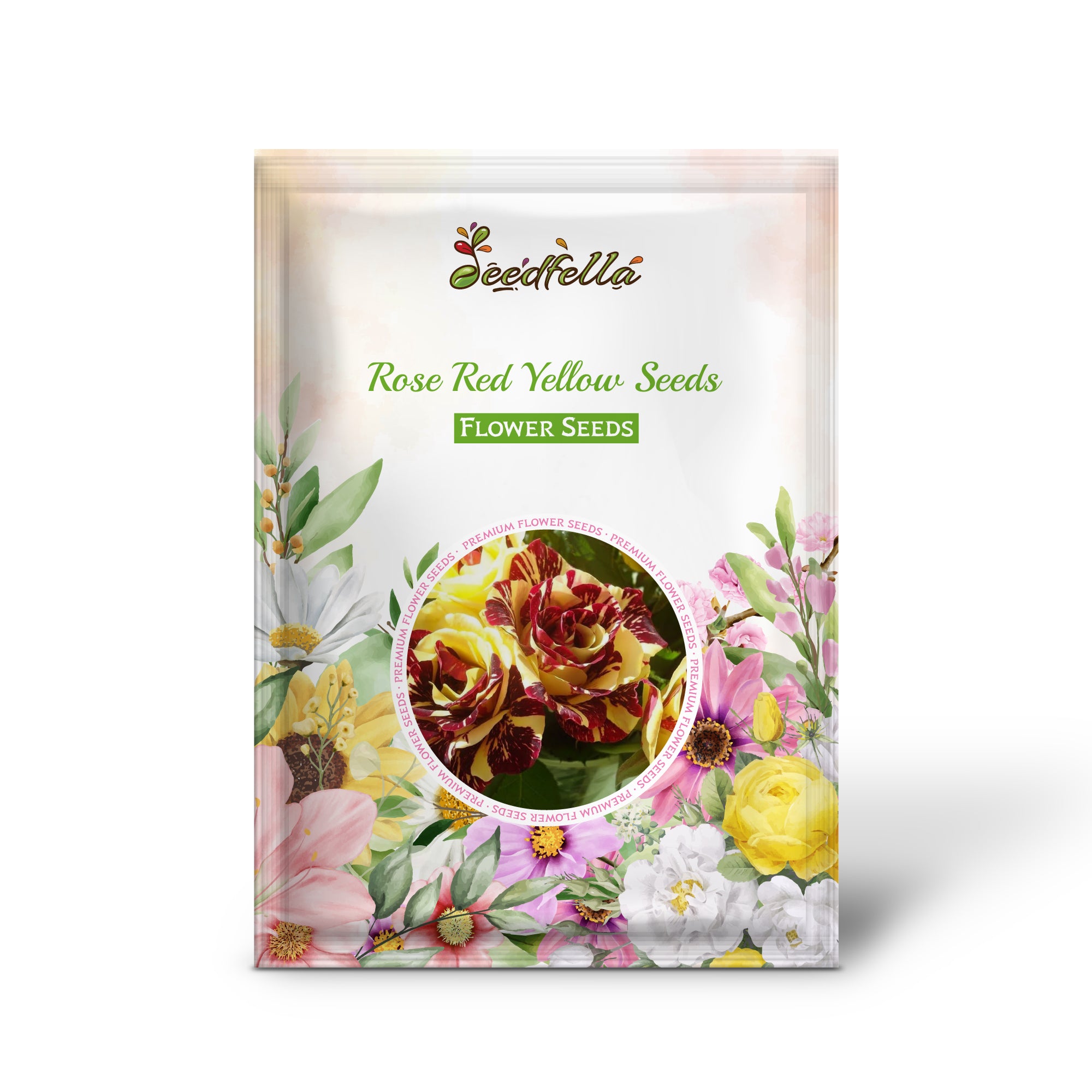 Vibrant red and yellow roses in bloom