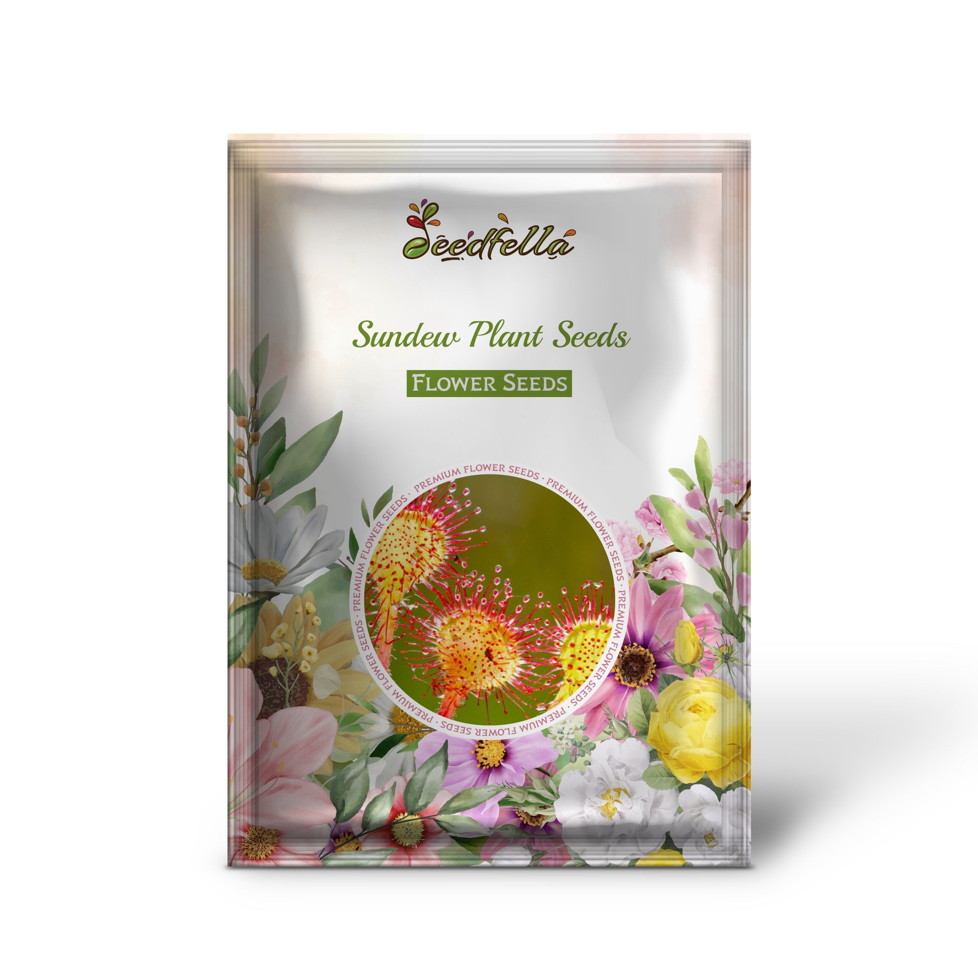 Red and Yellow Sundew Plants in Garden