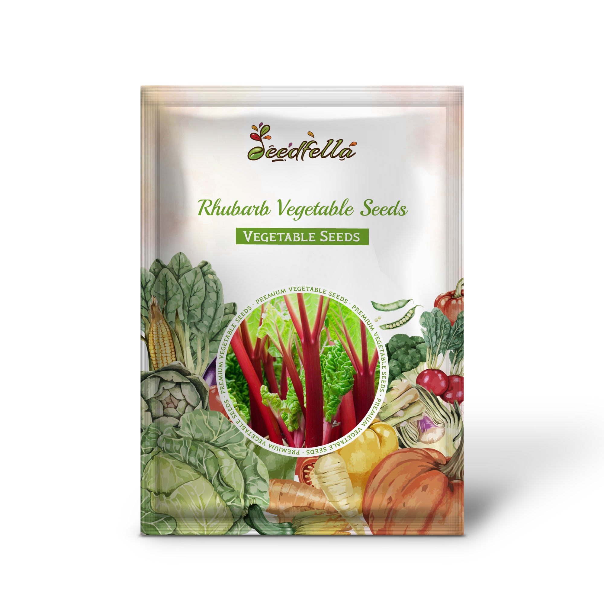 Rhubarb plant growing in garden